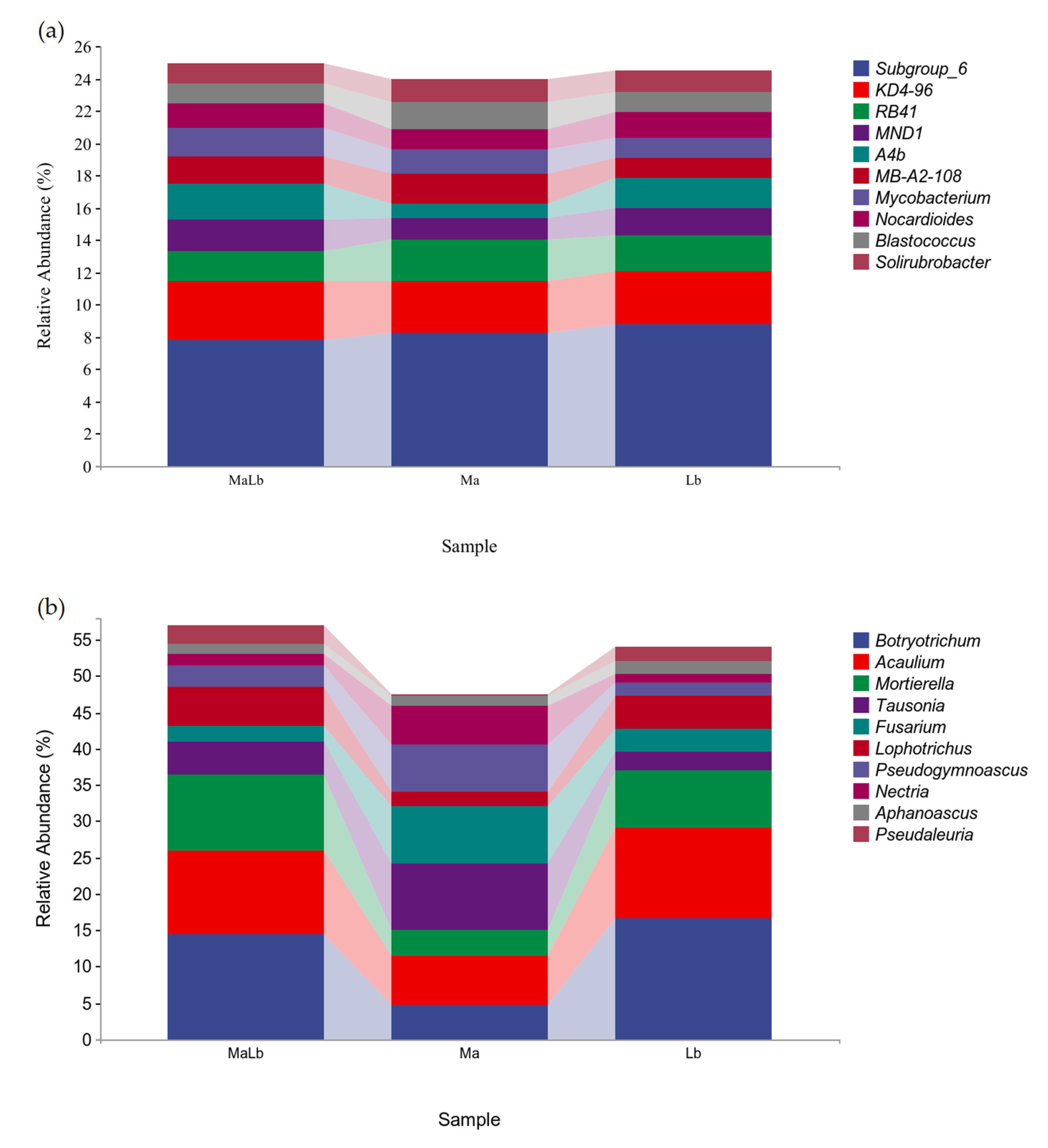 Effects of Intercropping between Morus alba and Nitrogen
