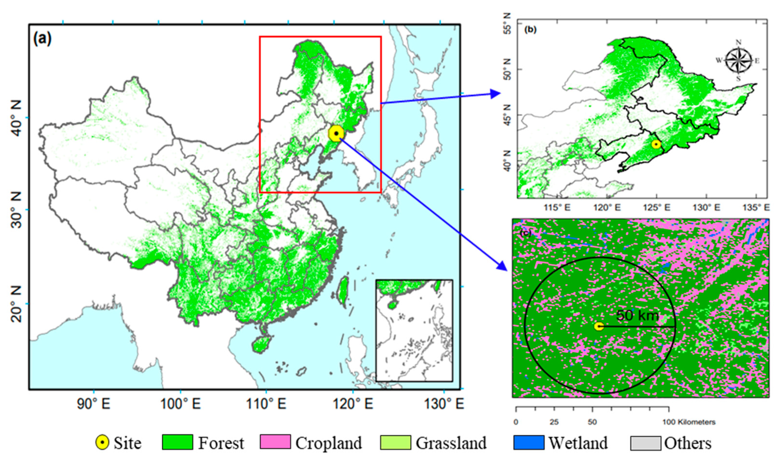 Forests 13 01347 g001