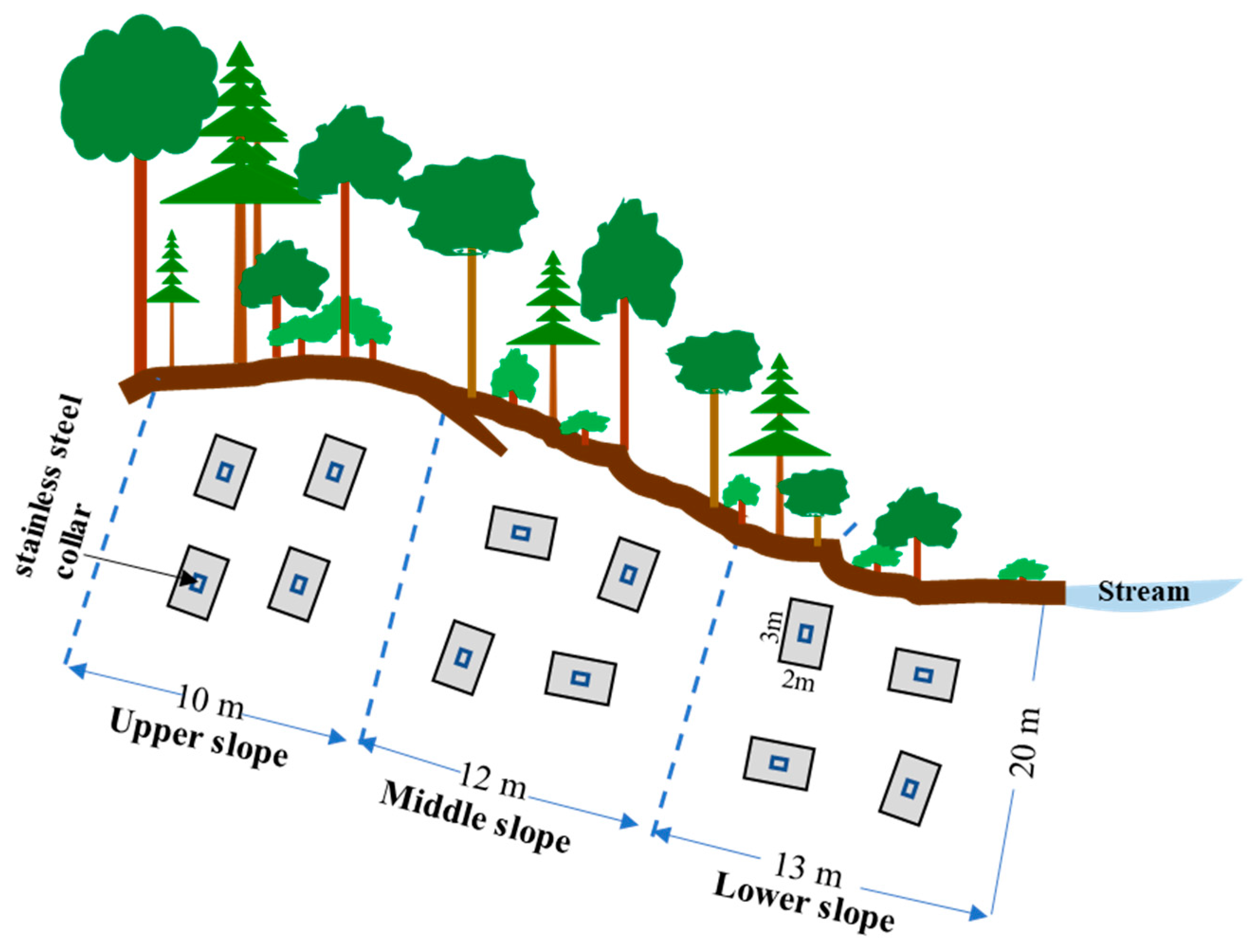 Forests 13 01347 g002