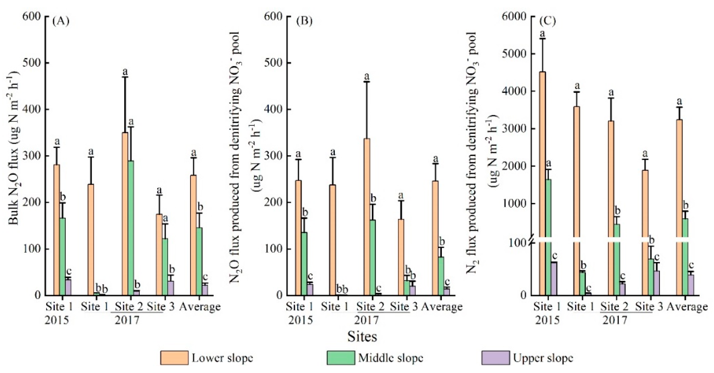 Forests 13 01347 g004