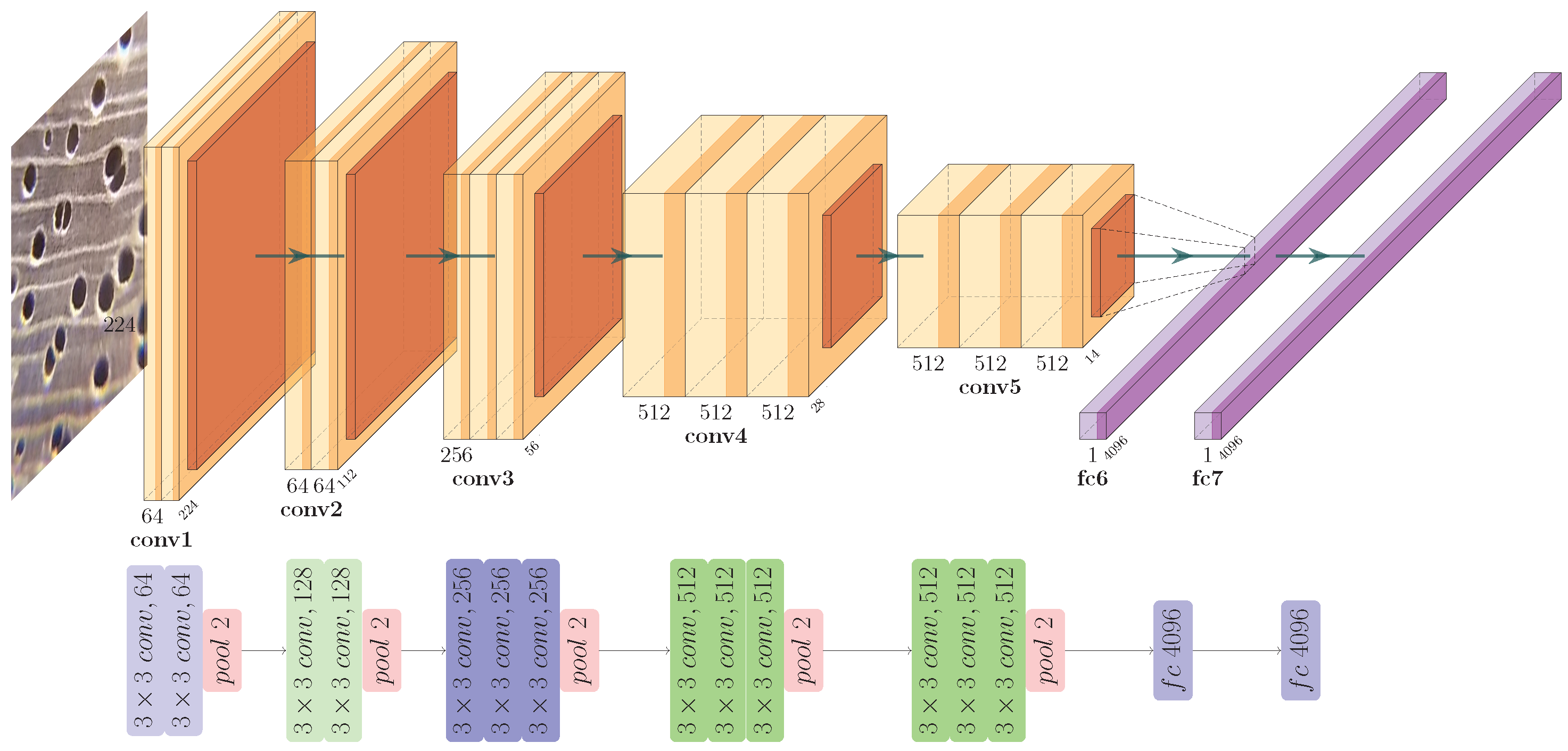 Forests 13 01350 g003 550