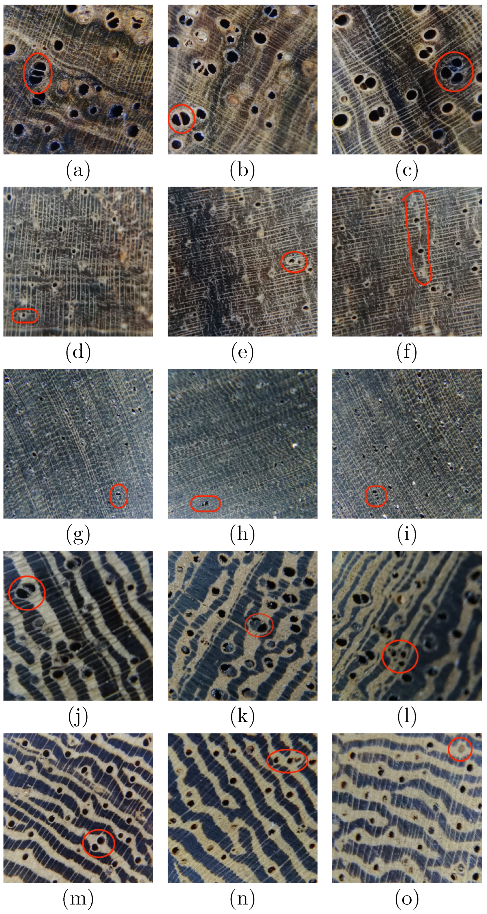 Forests 13 01350 g011 550