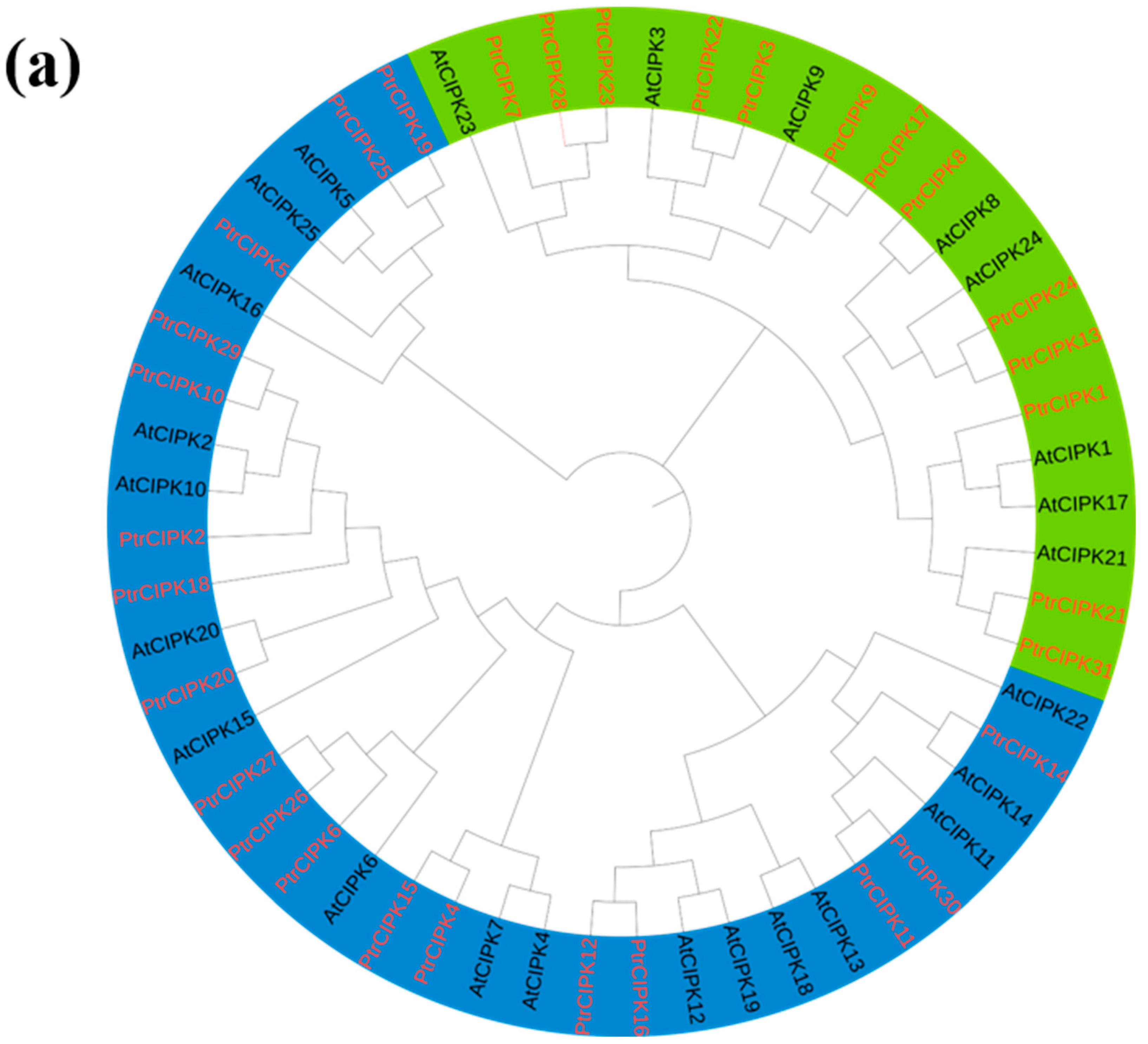 Forests 13 01353 g001a 550