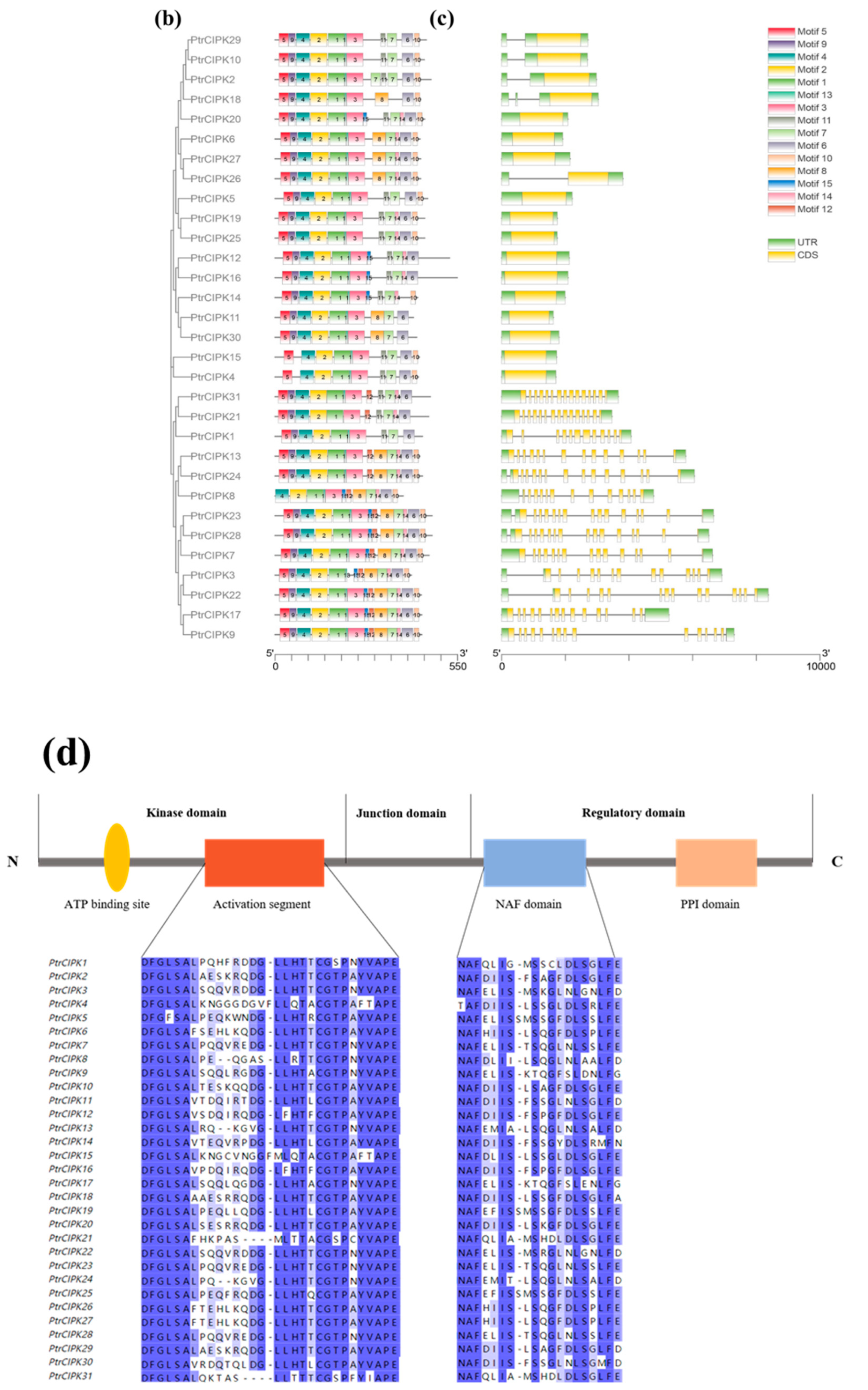 Forests 13 01353 g001b 550