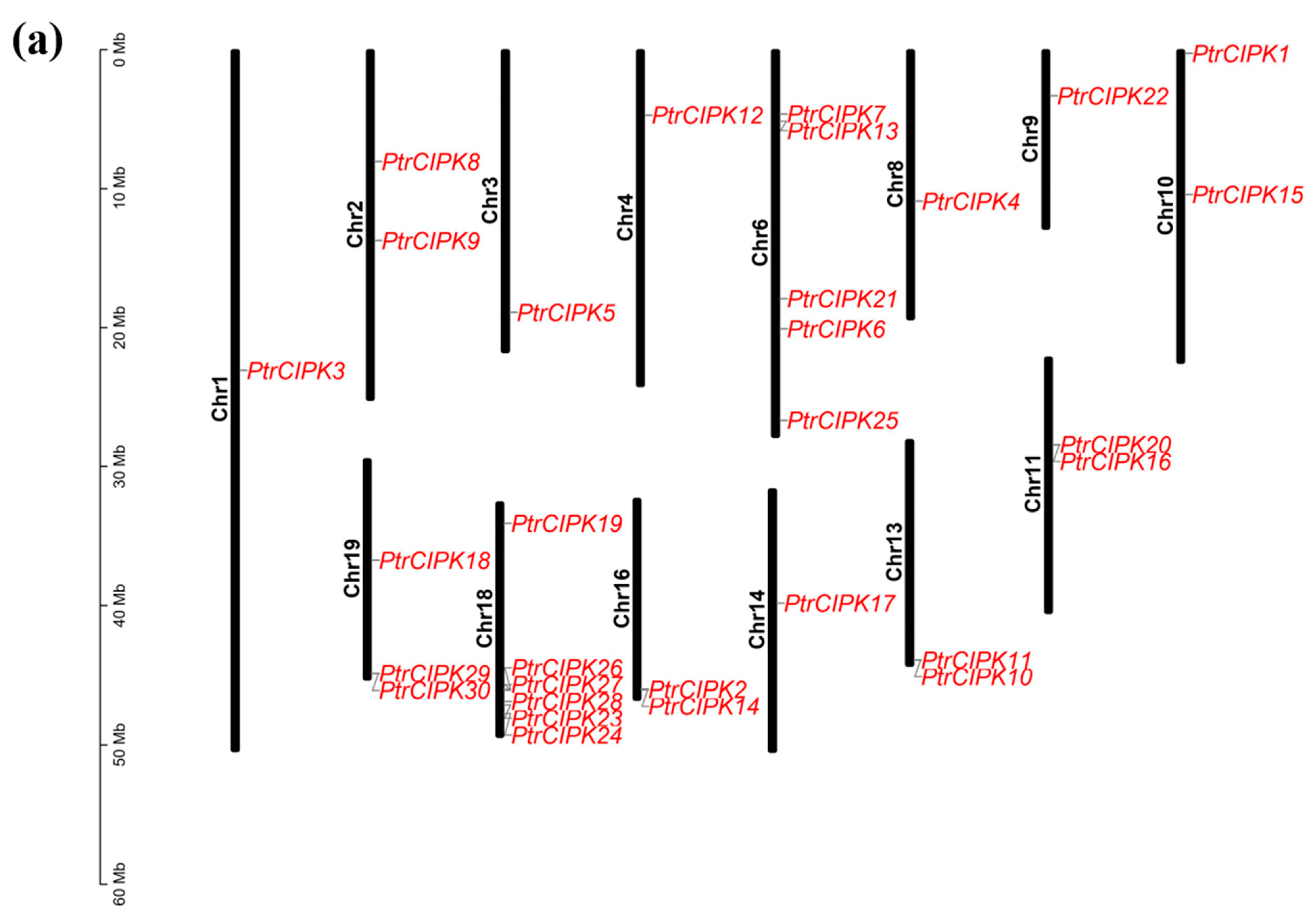 Forests 13 01353 g002a 550