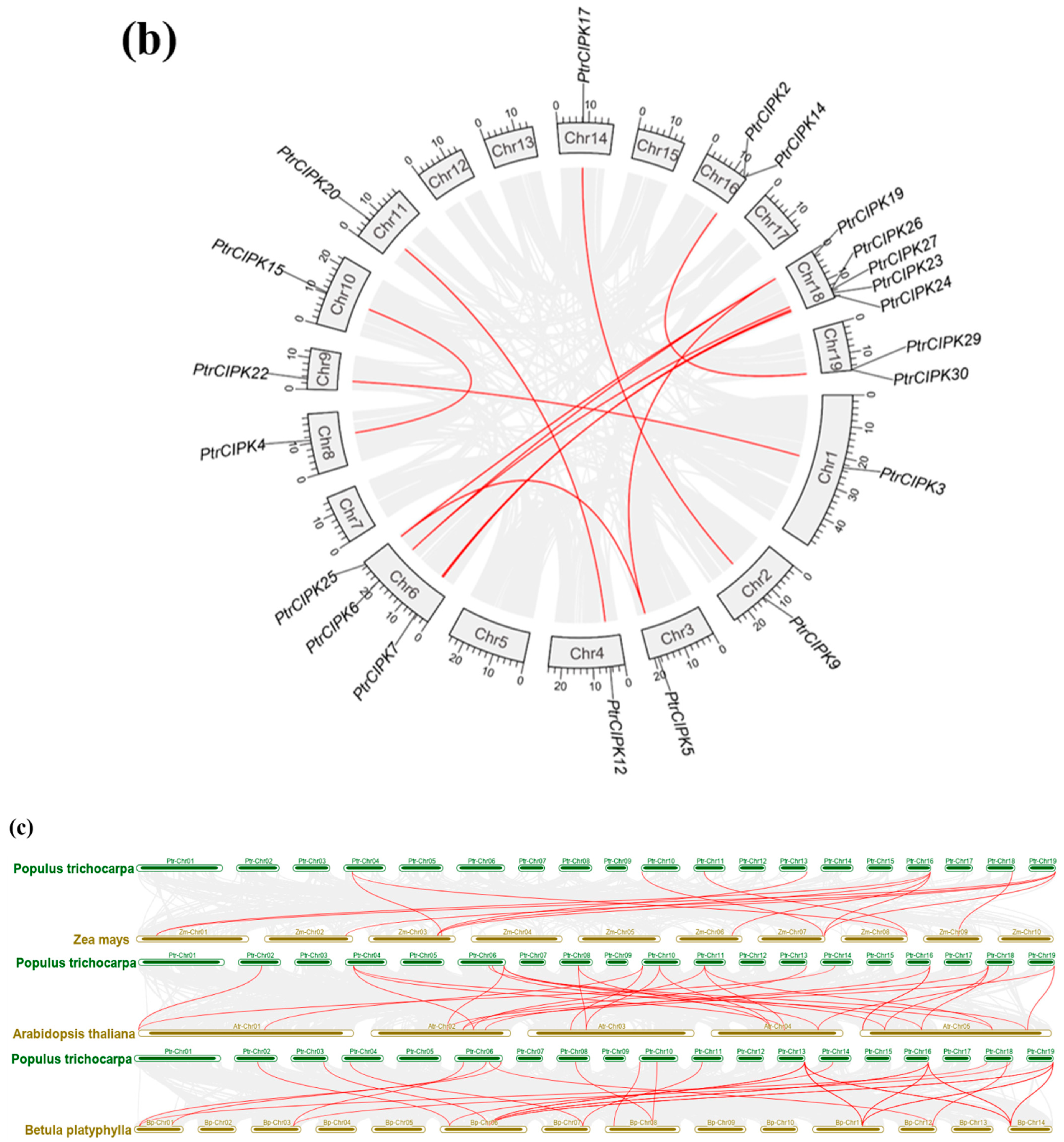 Forests 13 01353 g002b 550