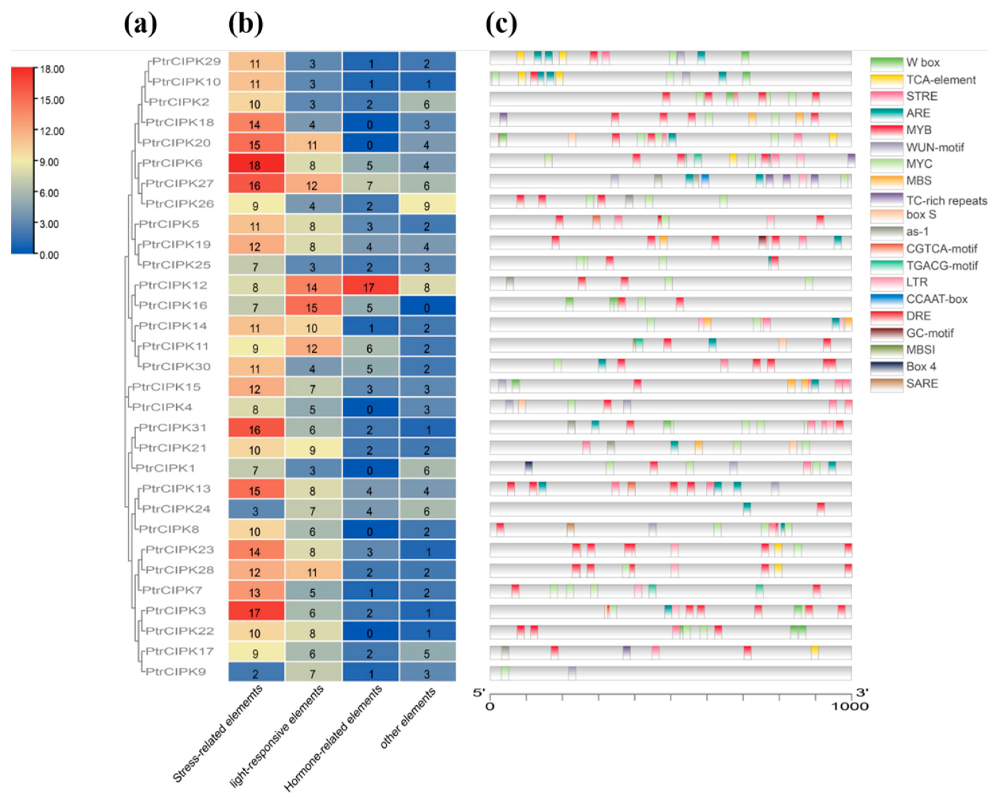 Forests 13 01353 g003 550