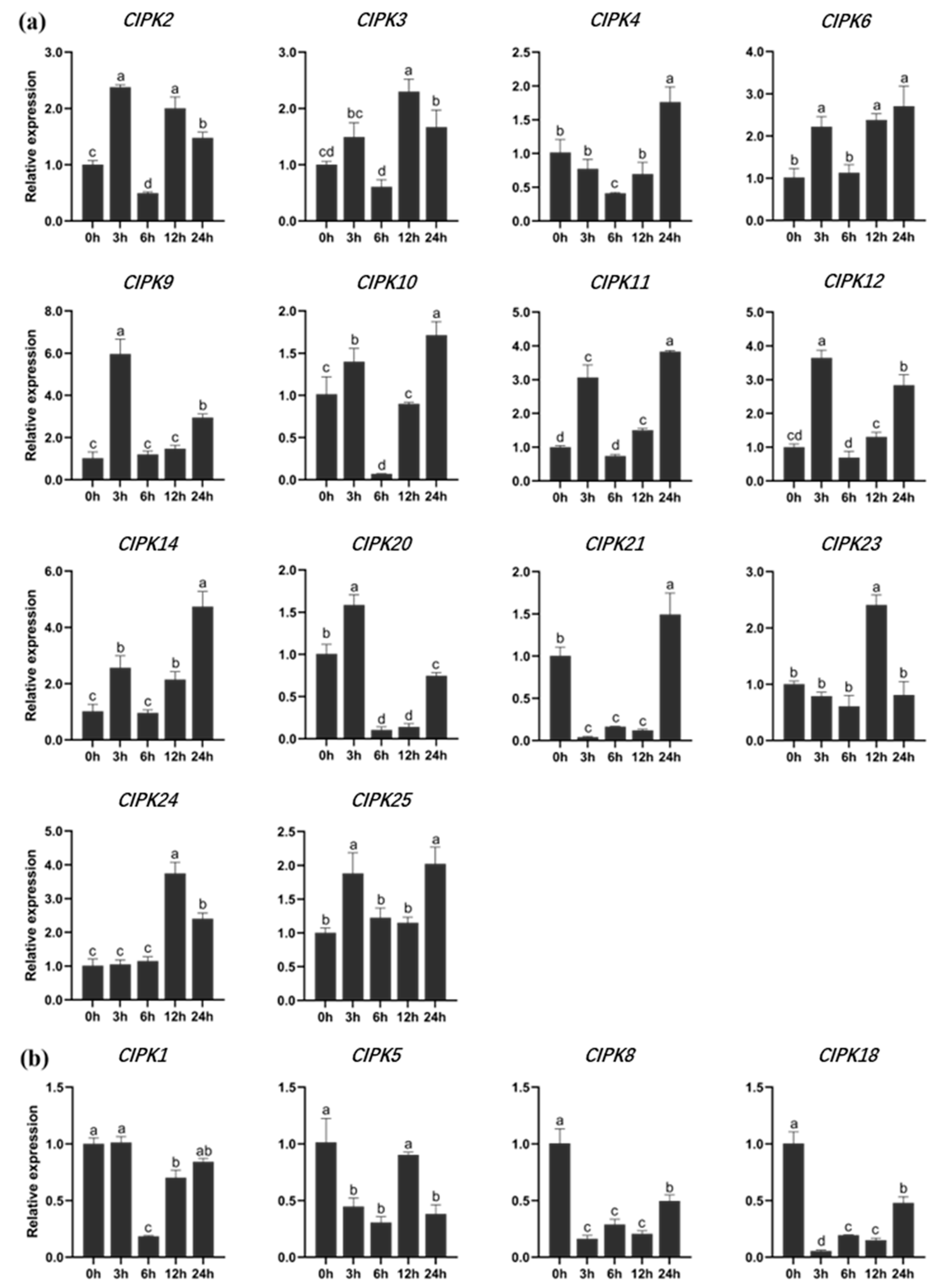 Forests 13 01353 g004 550