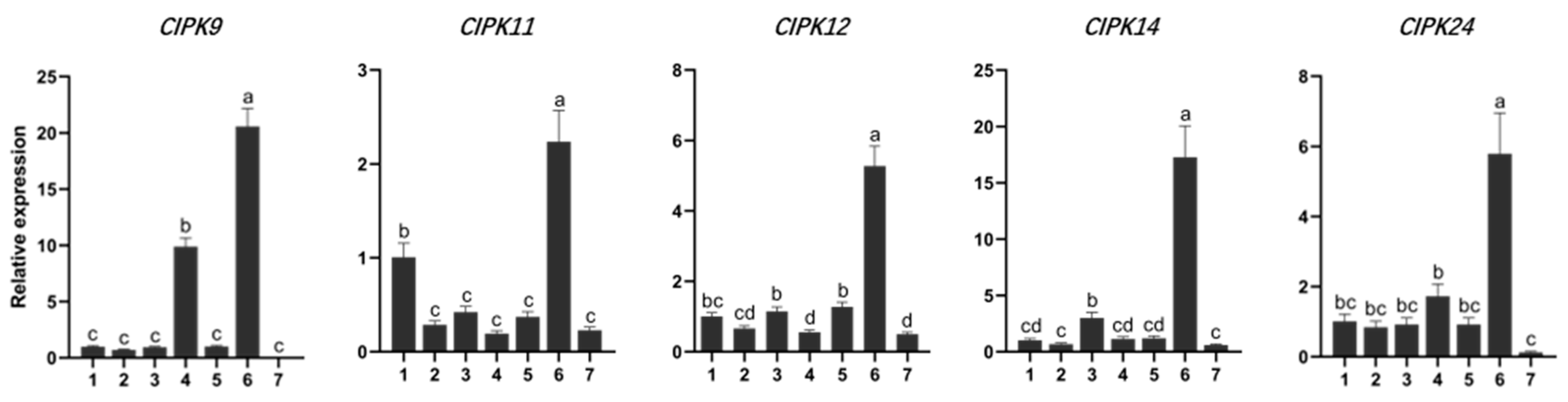 Forests 13 01353 g005 550