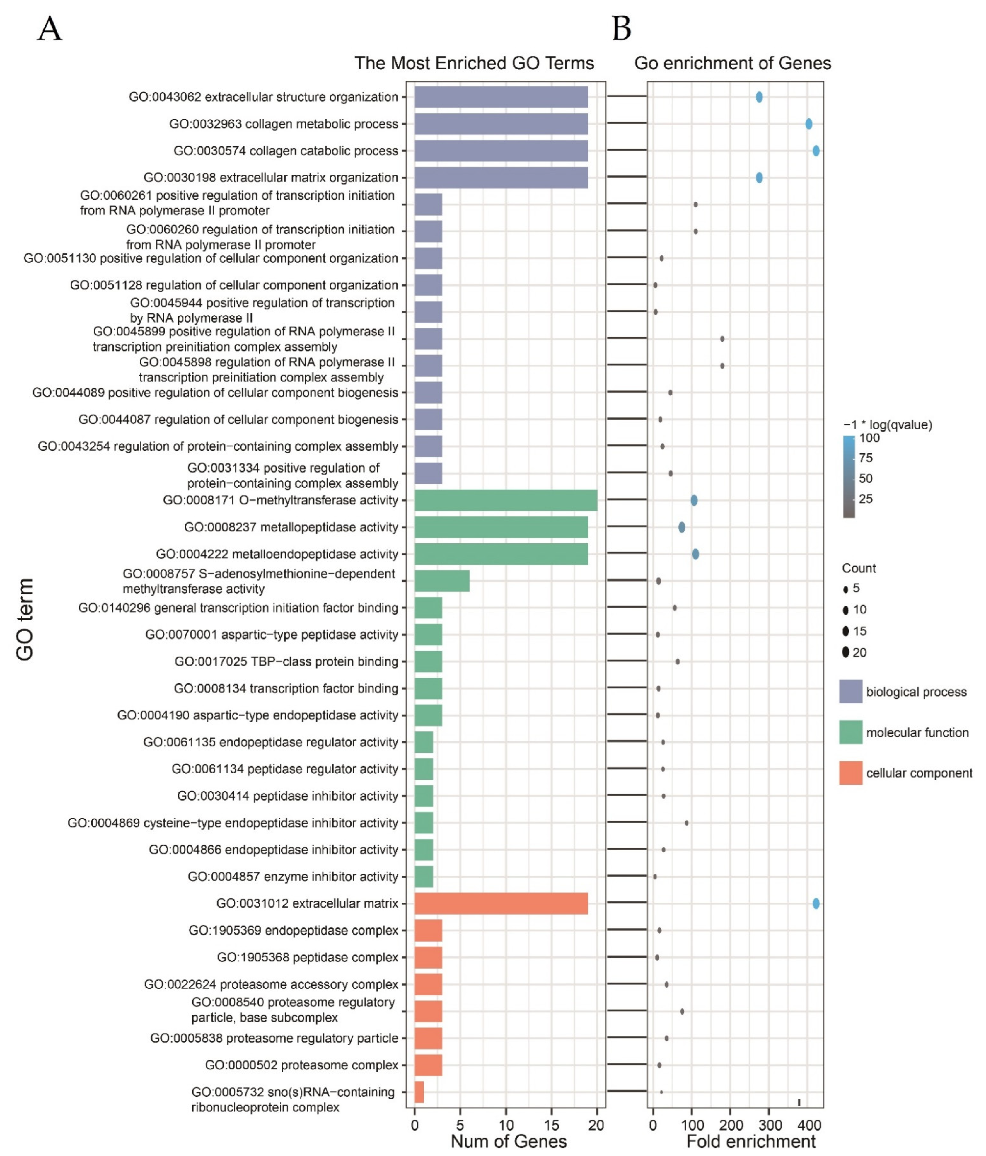Forests 13 01365 g005 550