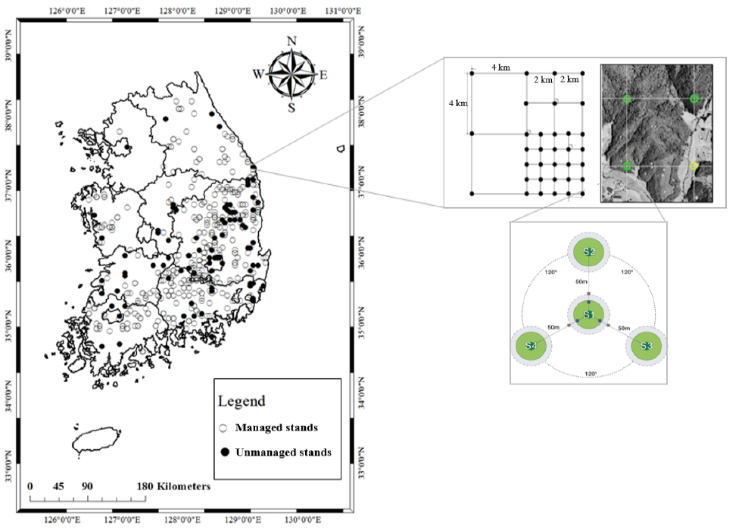 Forests 13 01372 g001