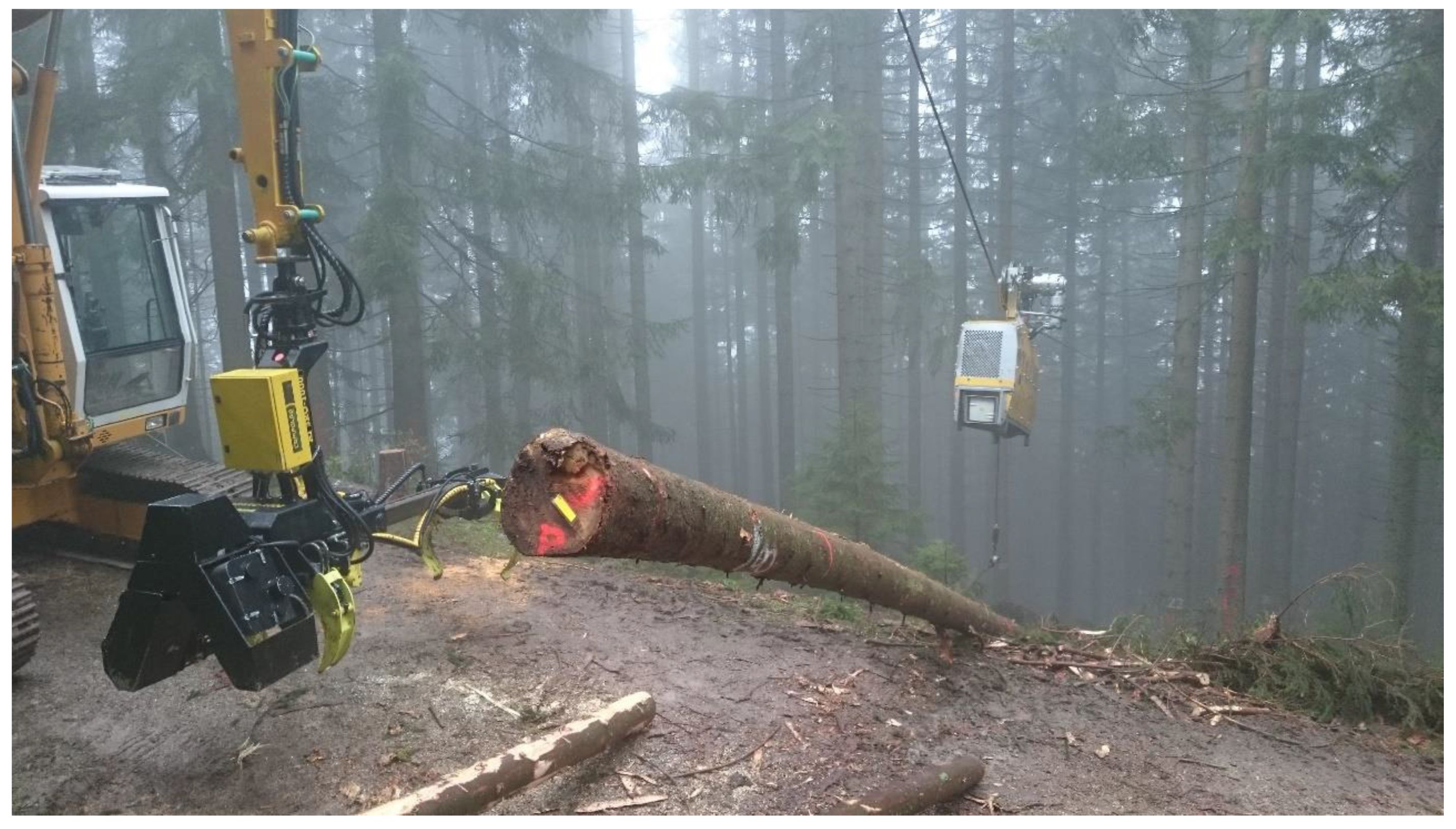 Forests 13 01373 g004 550