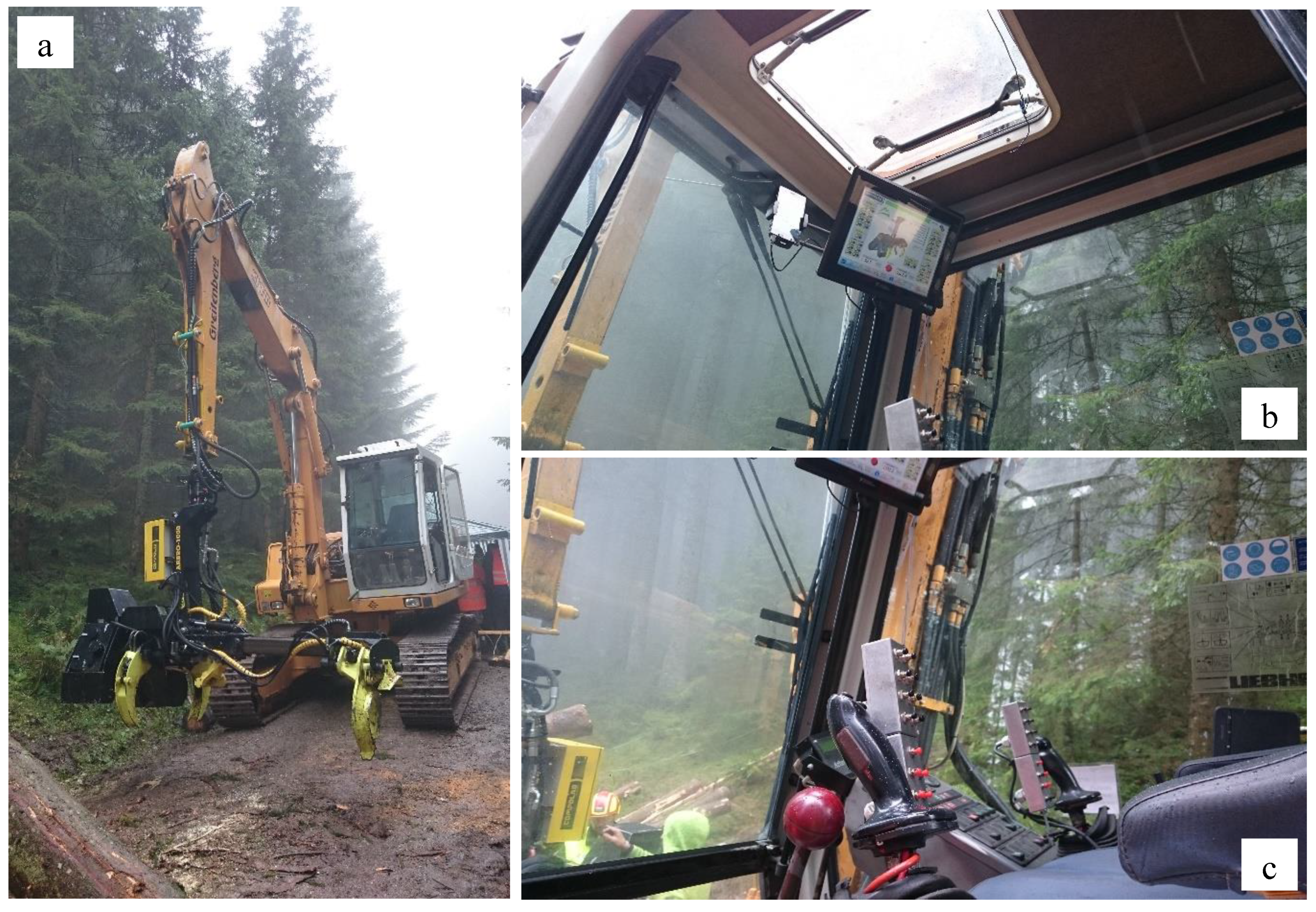 Forests 13 01373 g005 550