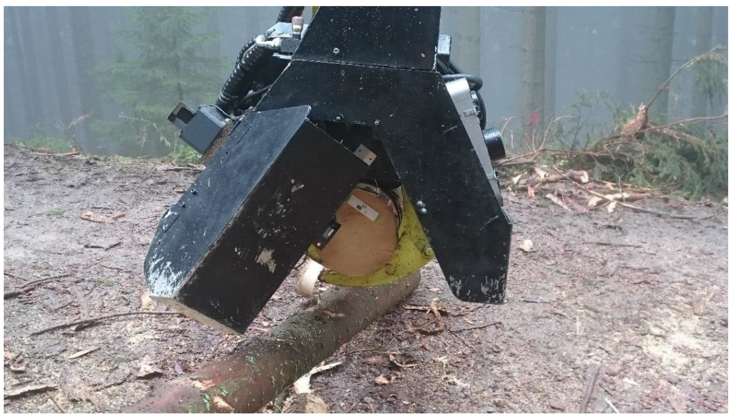 Forests 13 01373 g006 550