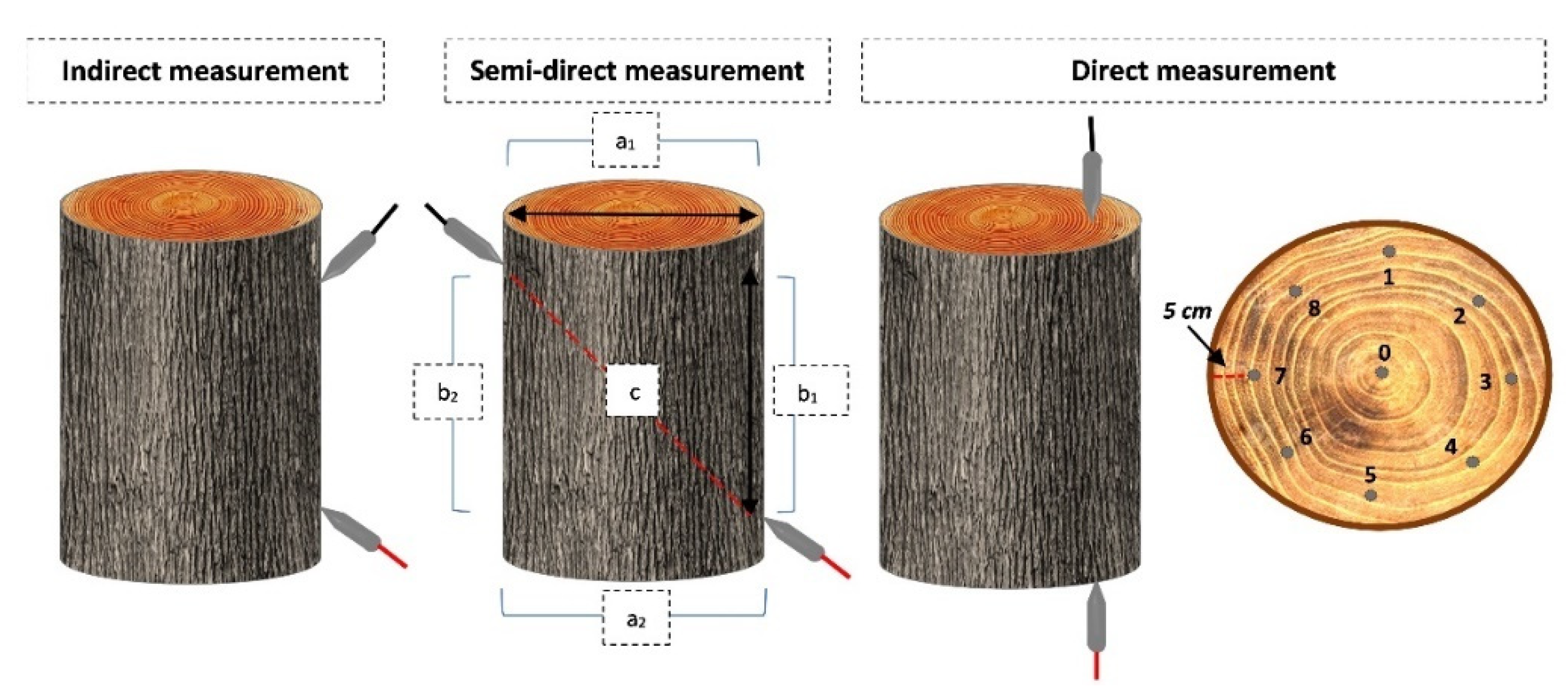 Forests 13 01381 g001