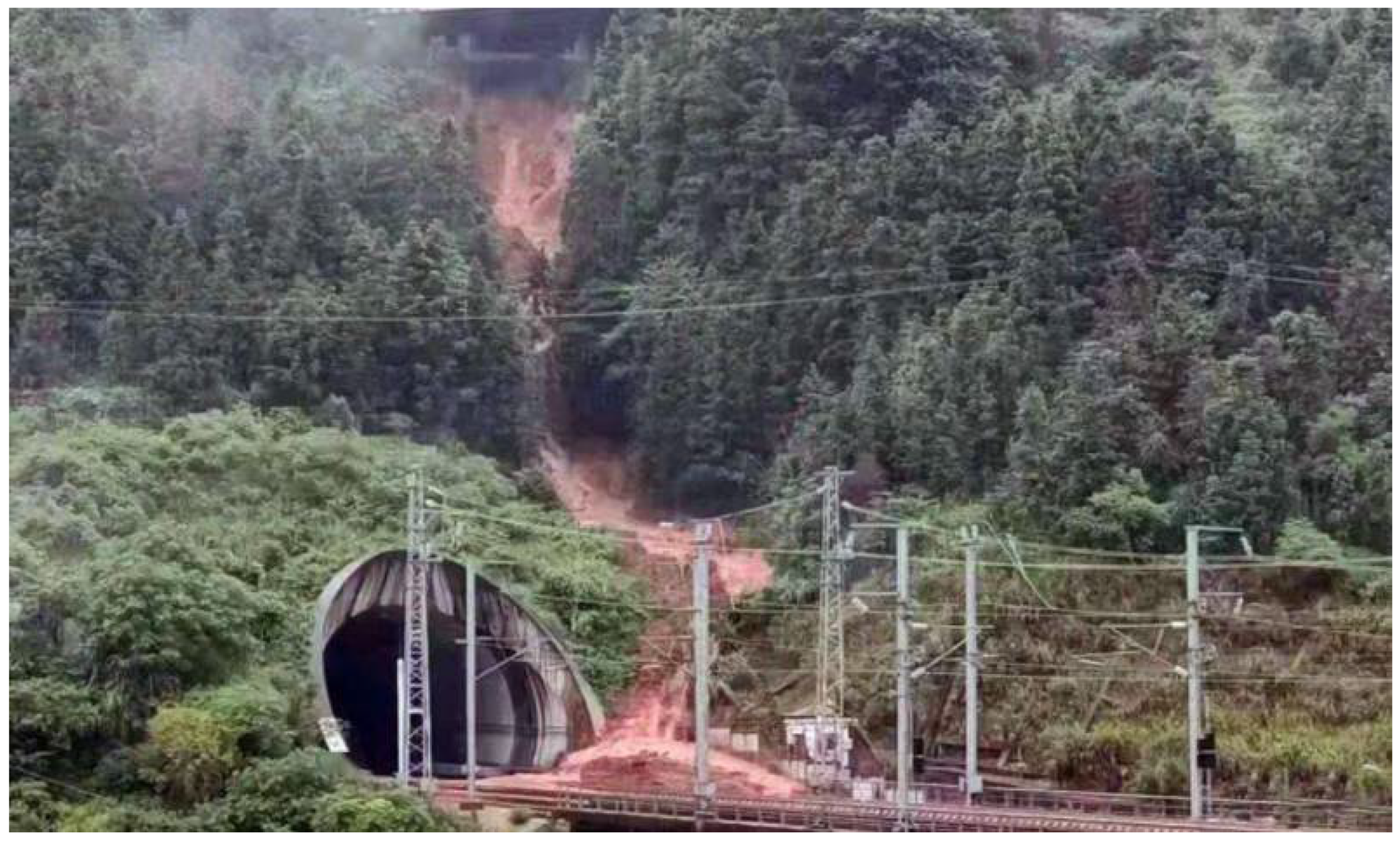 Forests 13 01384 g001