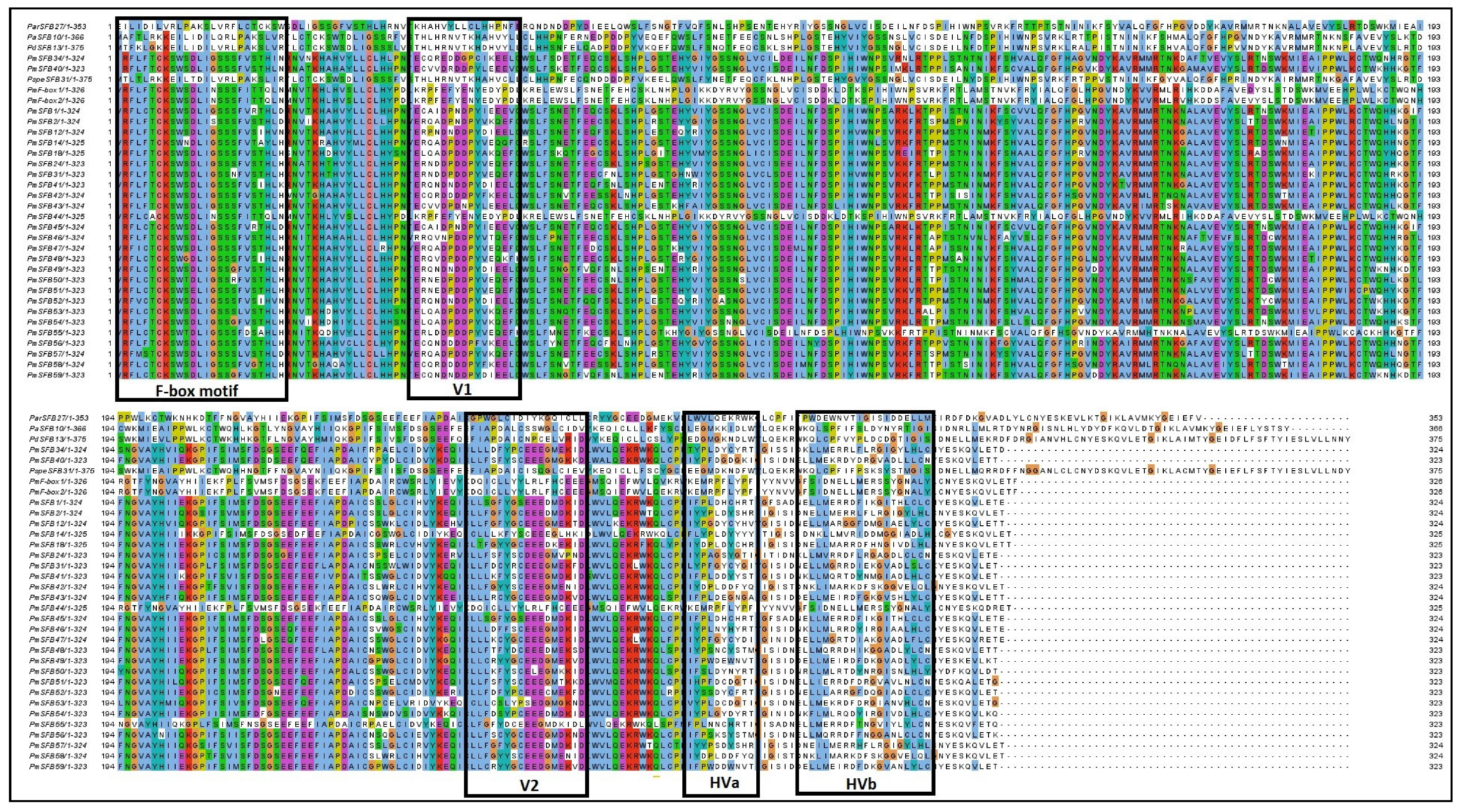 Forests 13 01388 g003 Forests 13 01388 g003