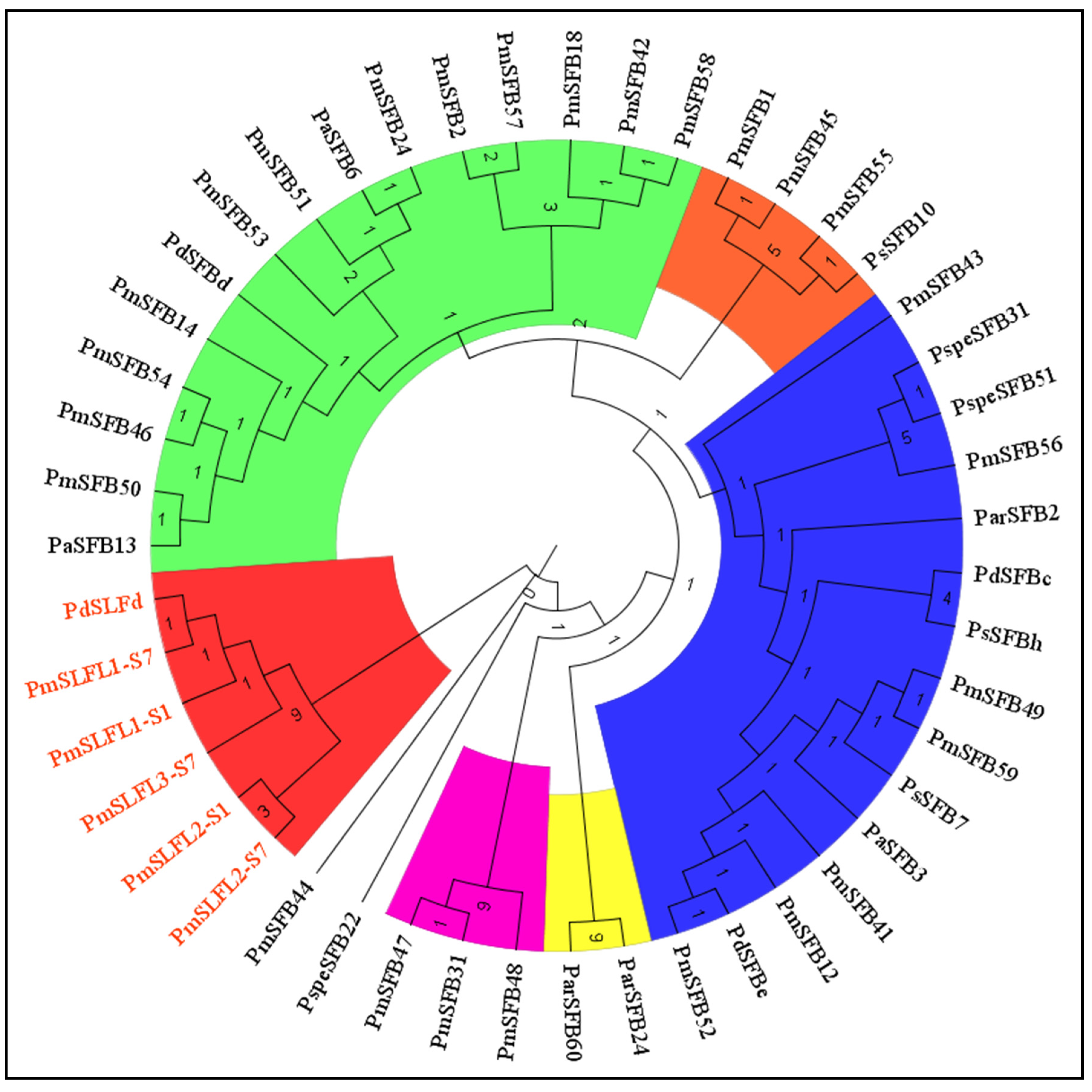 Forests 13 01388 g006 Forests 13 01388 g006