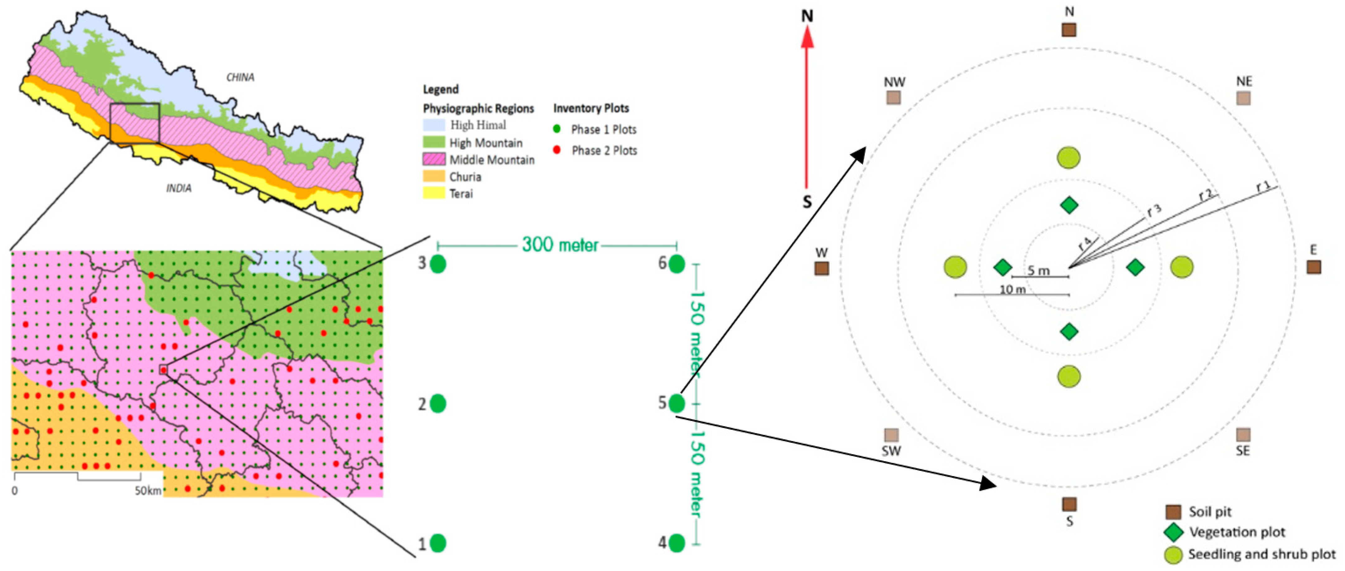 Forests 13 01391 g001