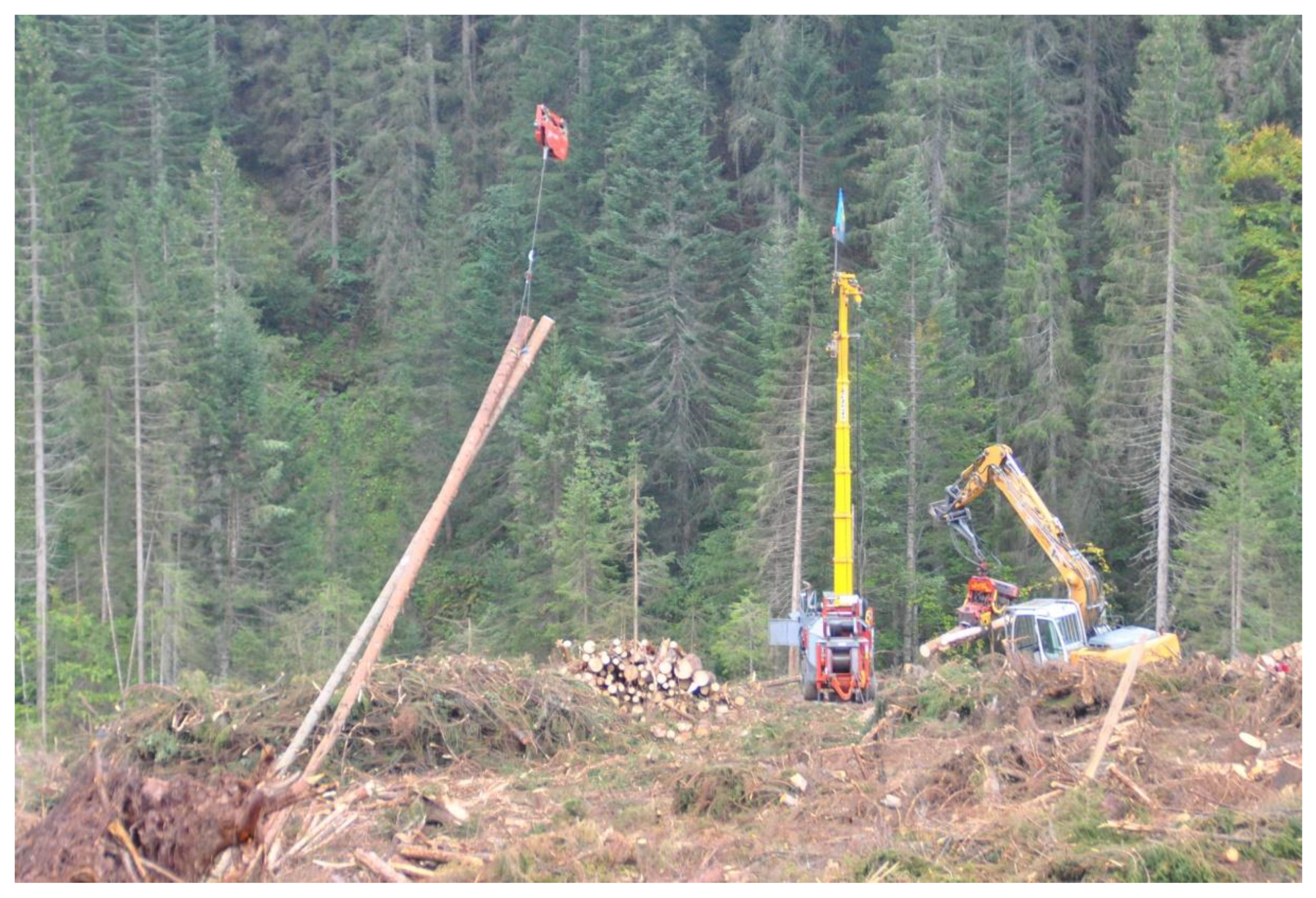 Forests 13 01394 g001 550