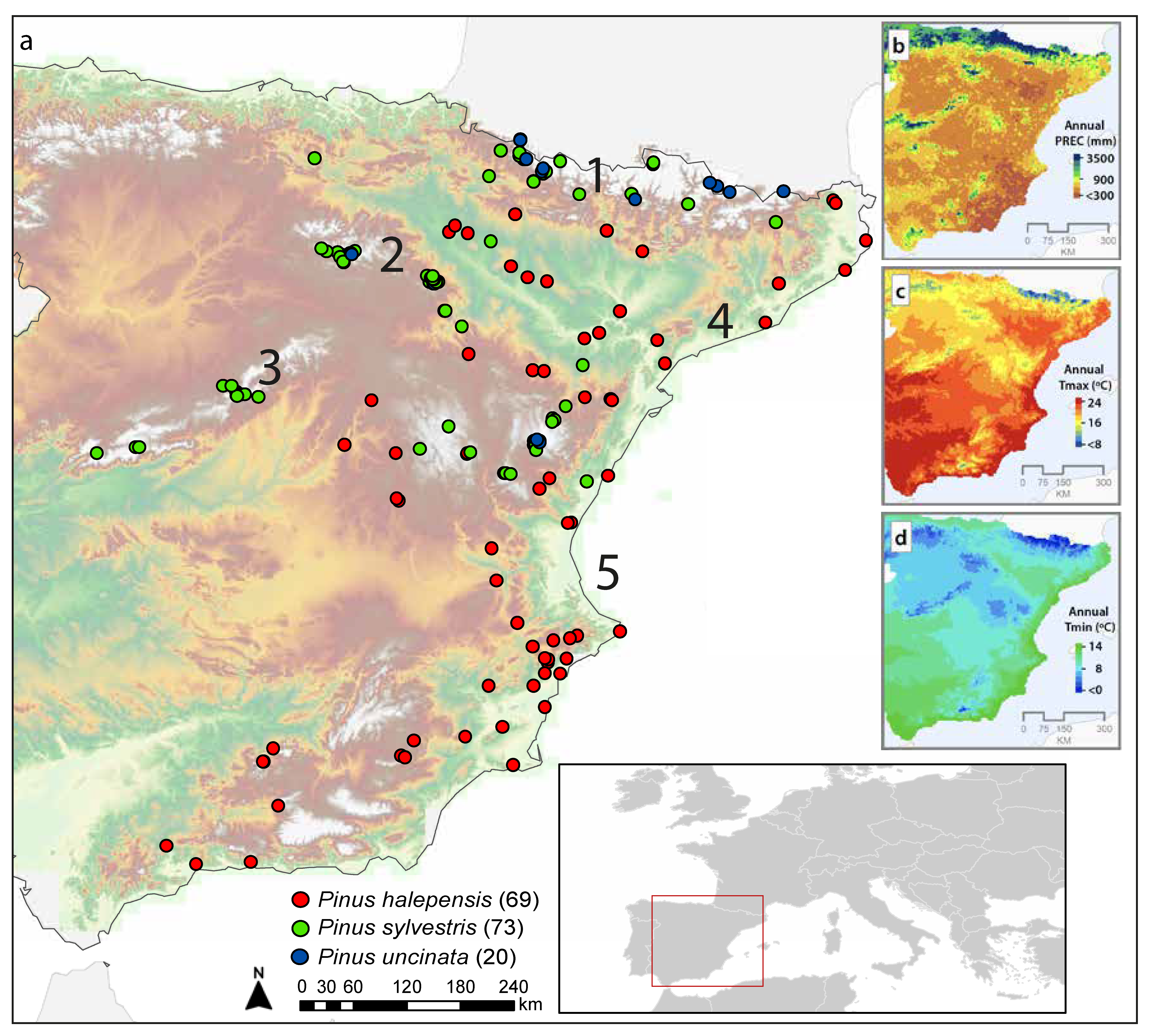 Forests 13 01396 g001 Forests 13 01396 g001