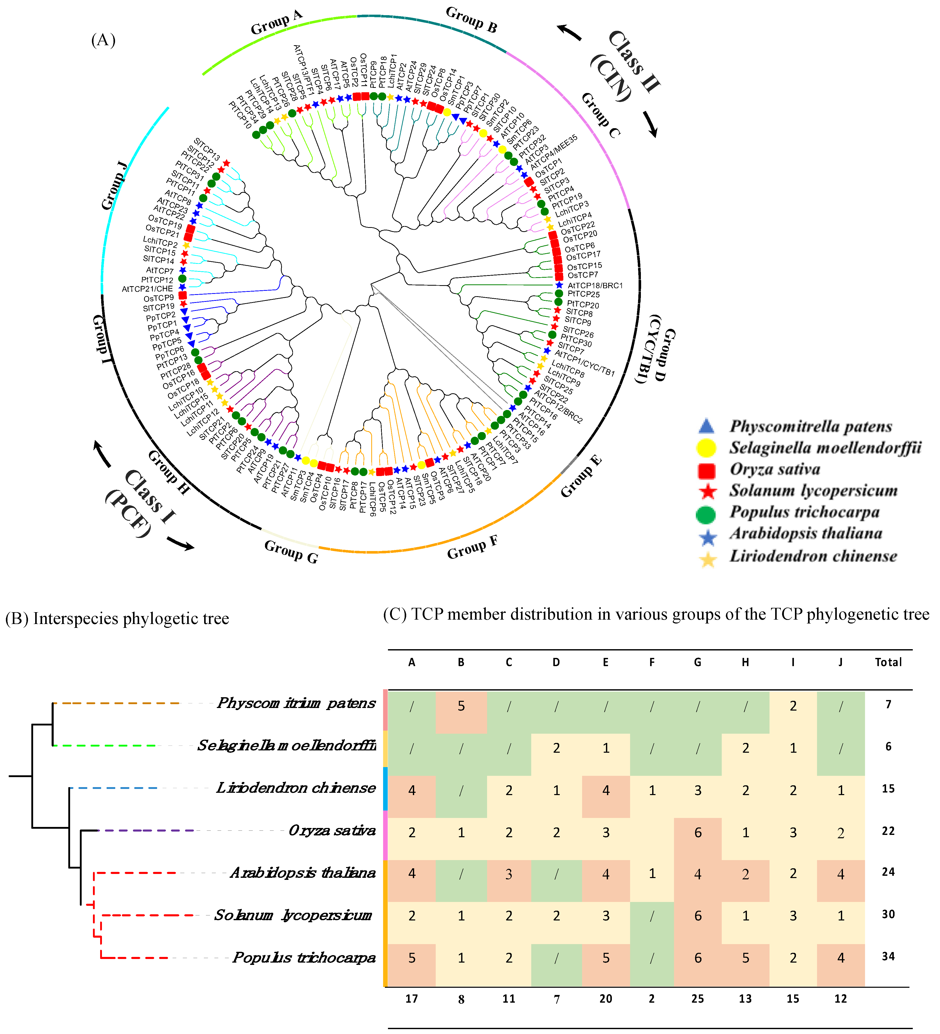 Forests 13 01401 g002