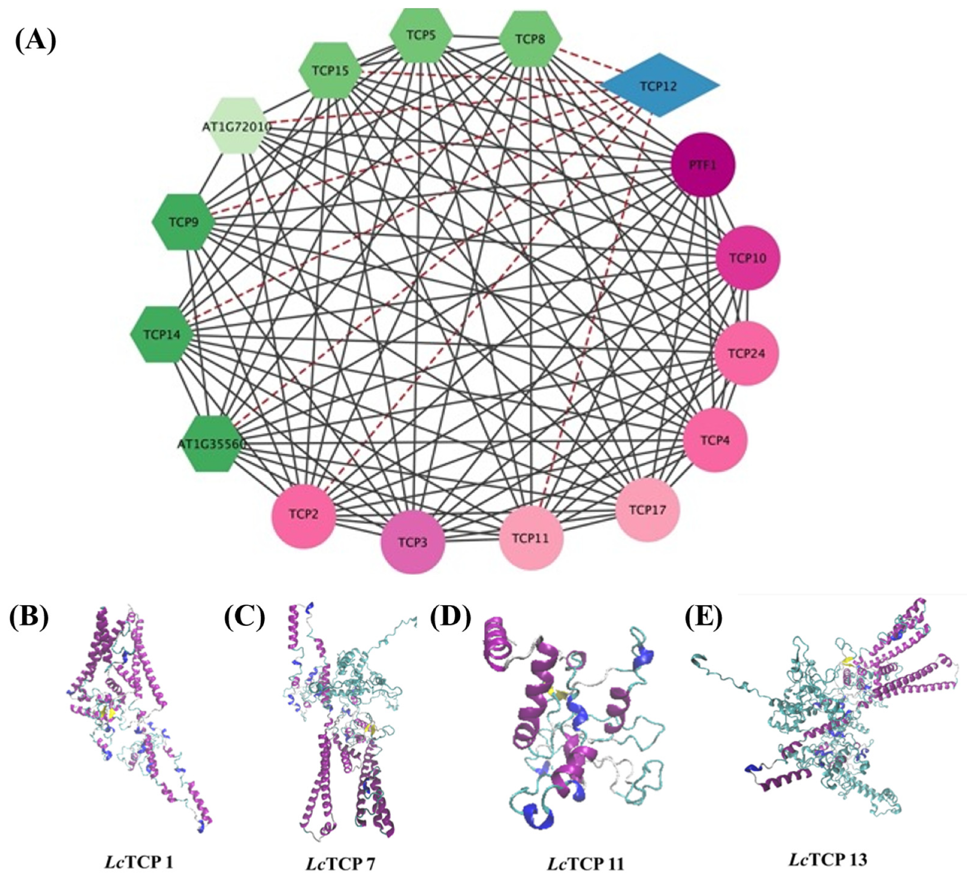 Forests 13 01401 g006