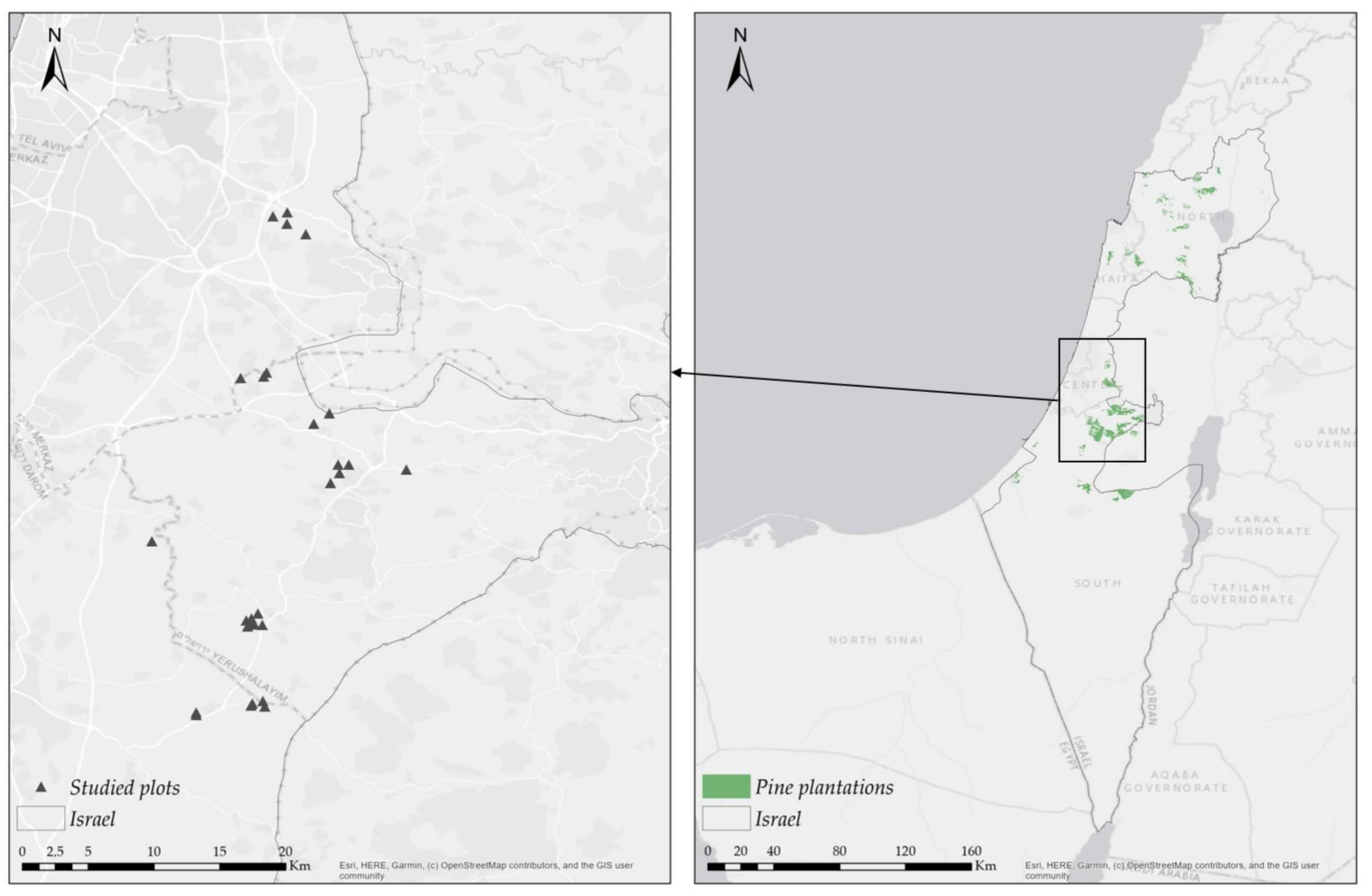 Forests 13 01411 g001
