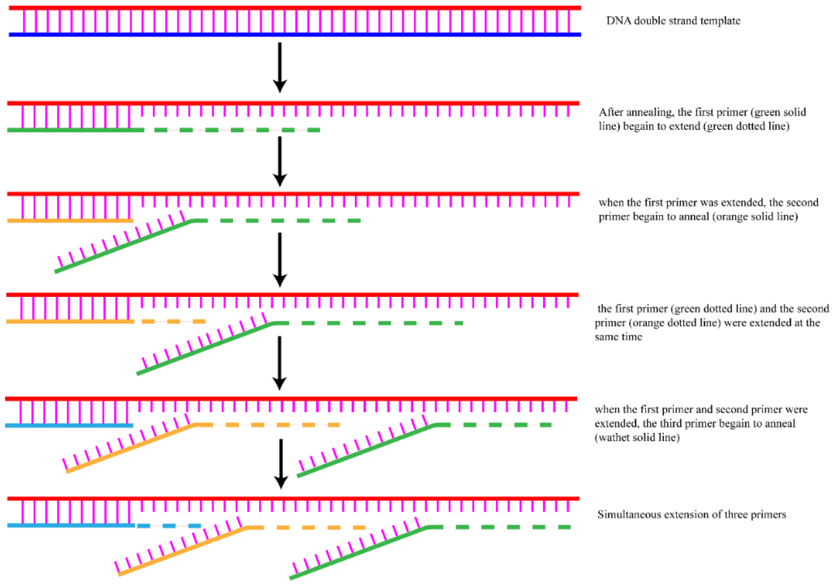 Forests 13 01419 g001
