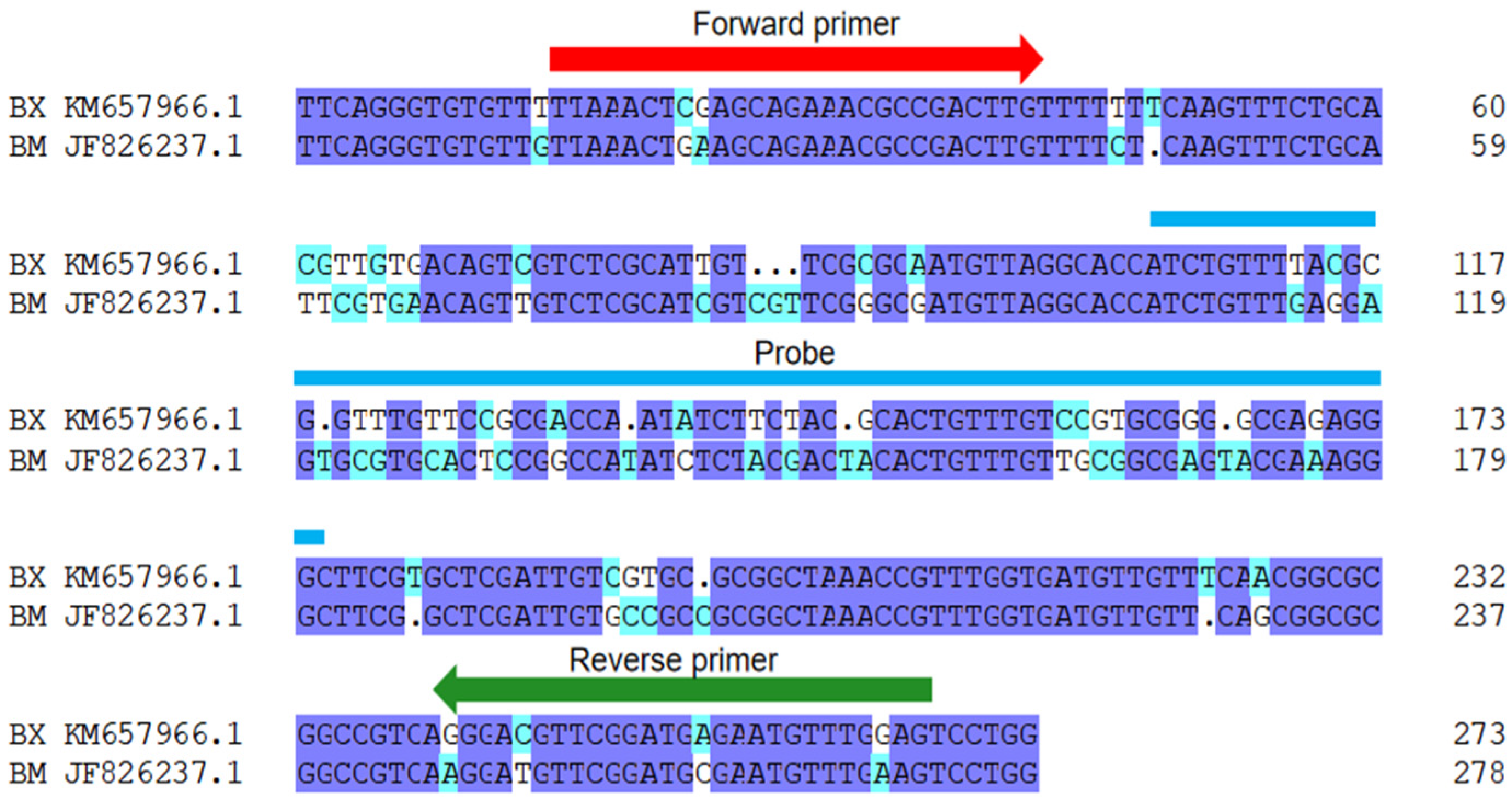 Forests 13 01419 g002