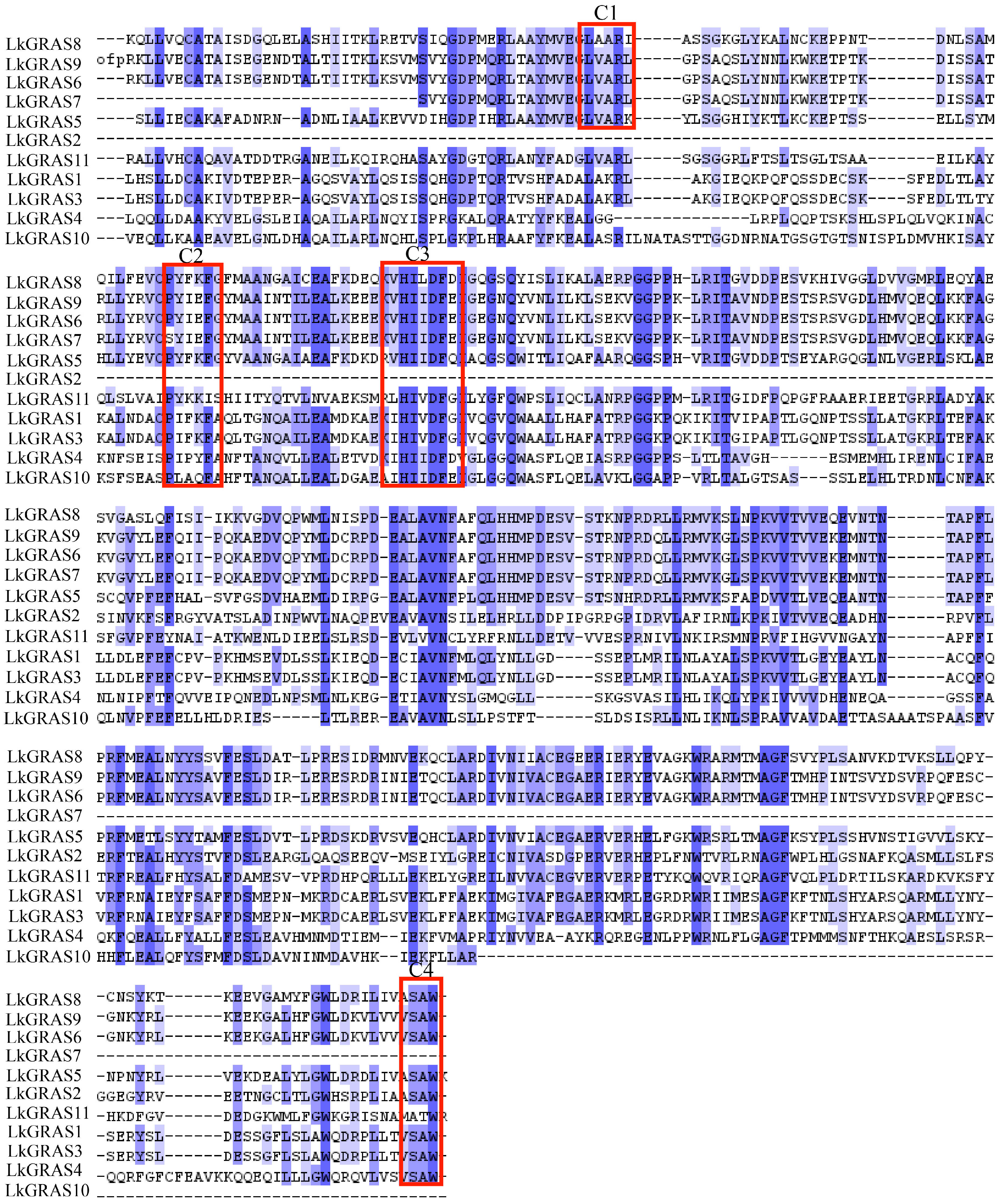 Forests 13 01424 g001