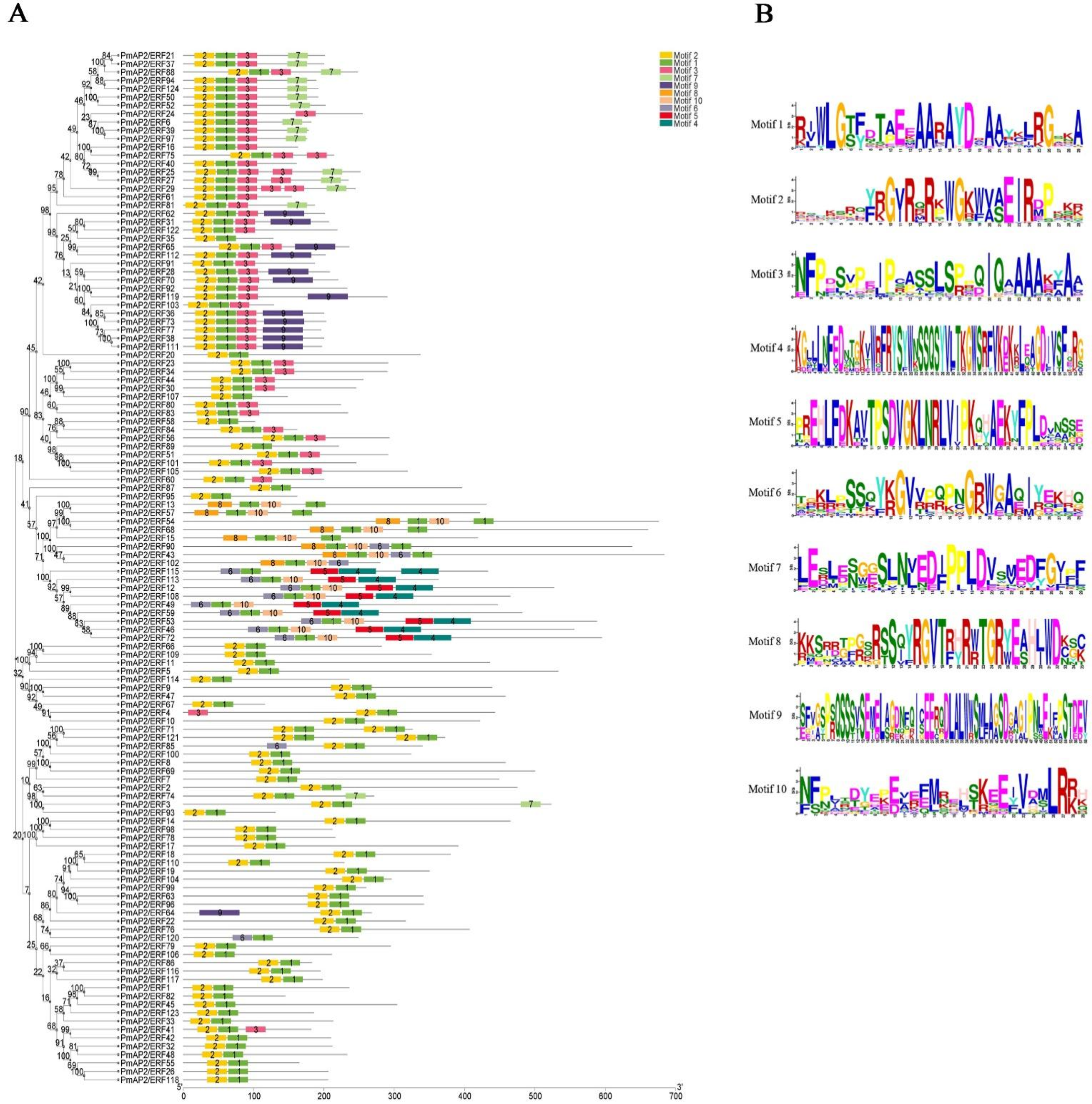 Forests 13 01430 g003