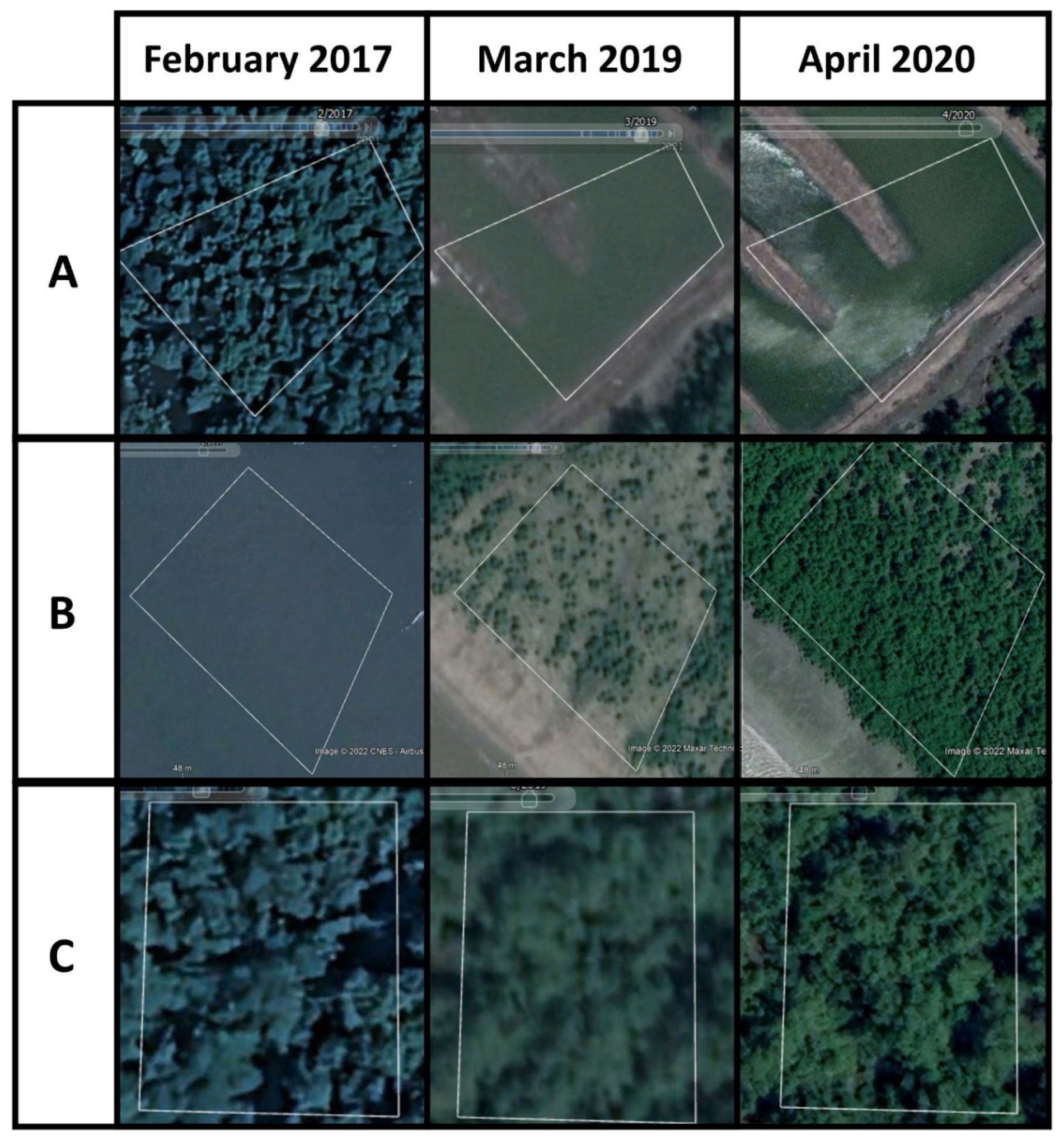 Forests 13 01433 g002