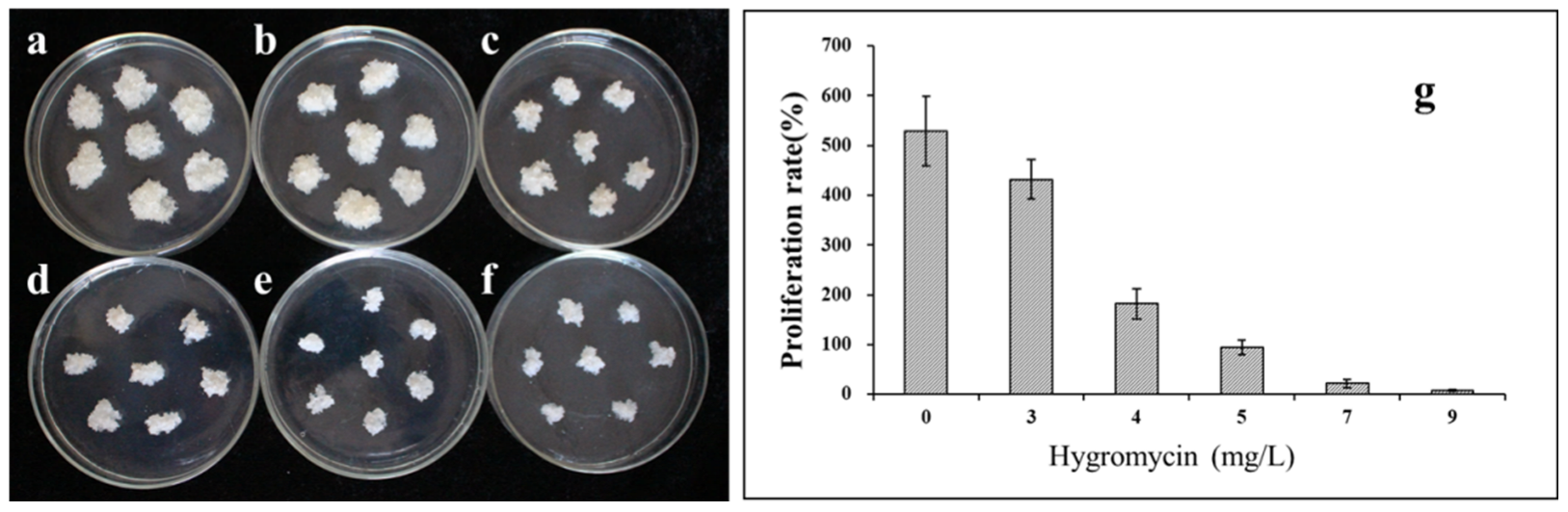 Forests 13 01436 g002 Forests 13 01436 g002