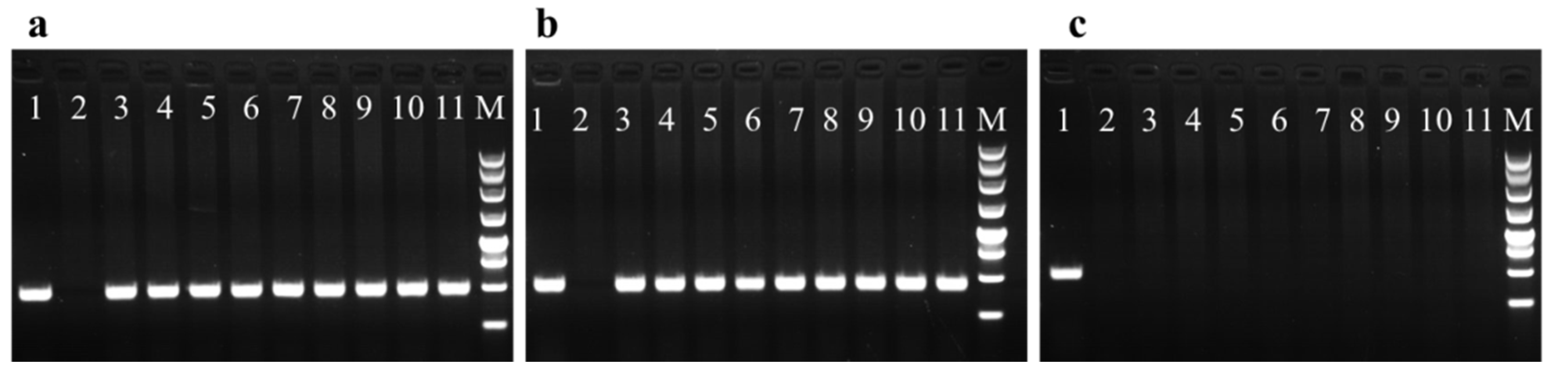 Forests 13 01436 g003 Forests 13 01436 g003