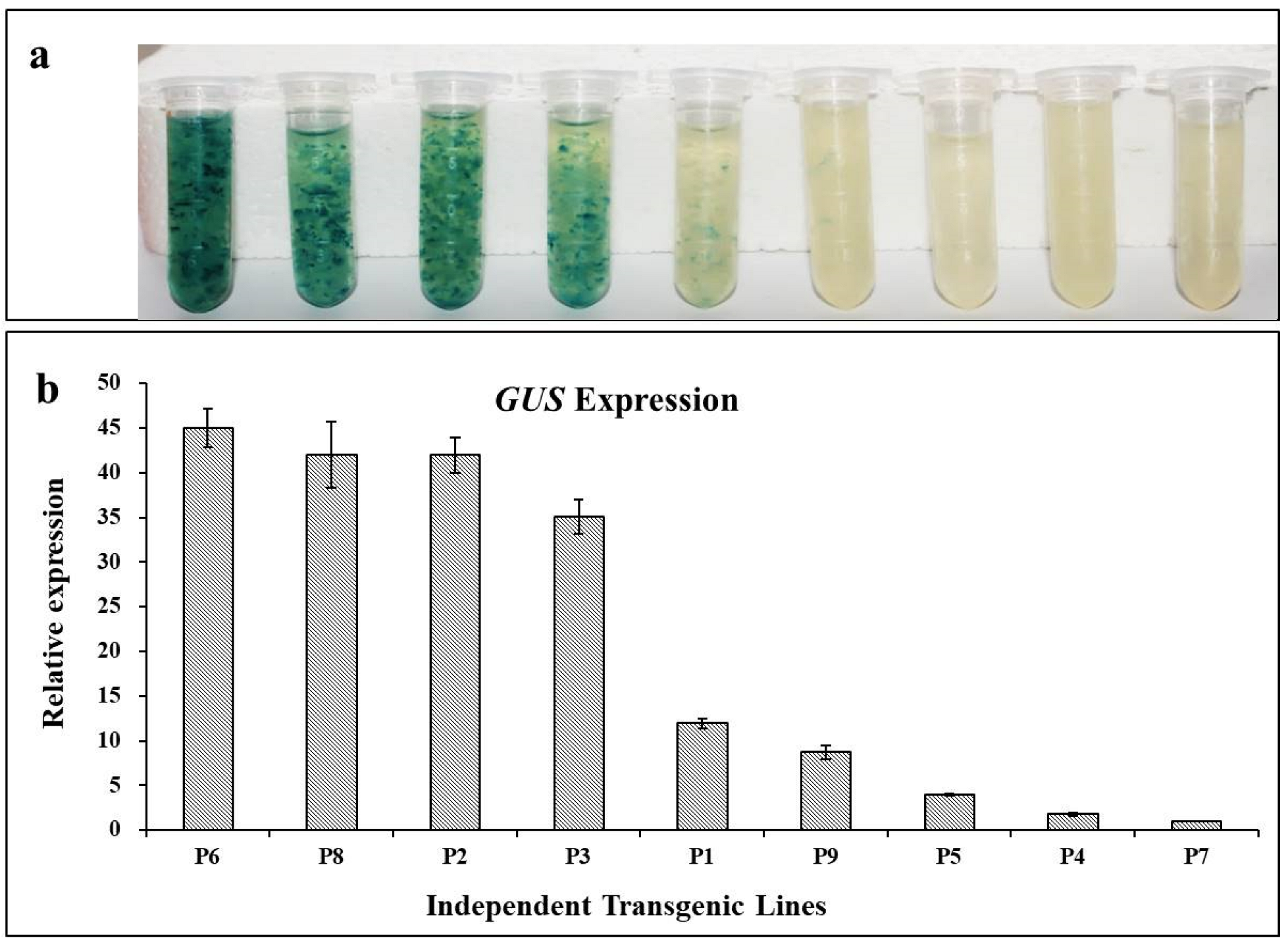 Forests 13 01436 g004 Forests 13 01436 g004