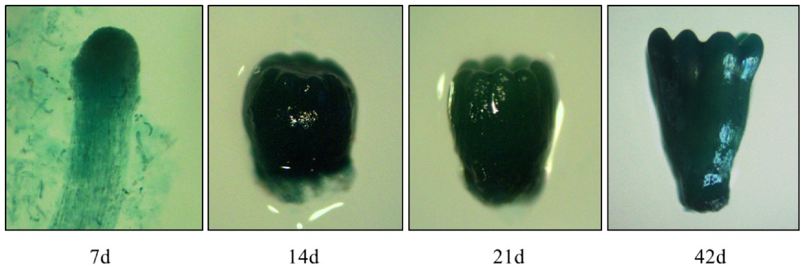 Forests 13 01436 g007 Forests 13 01436 g007