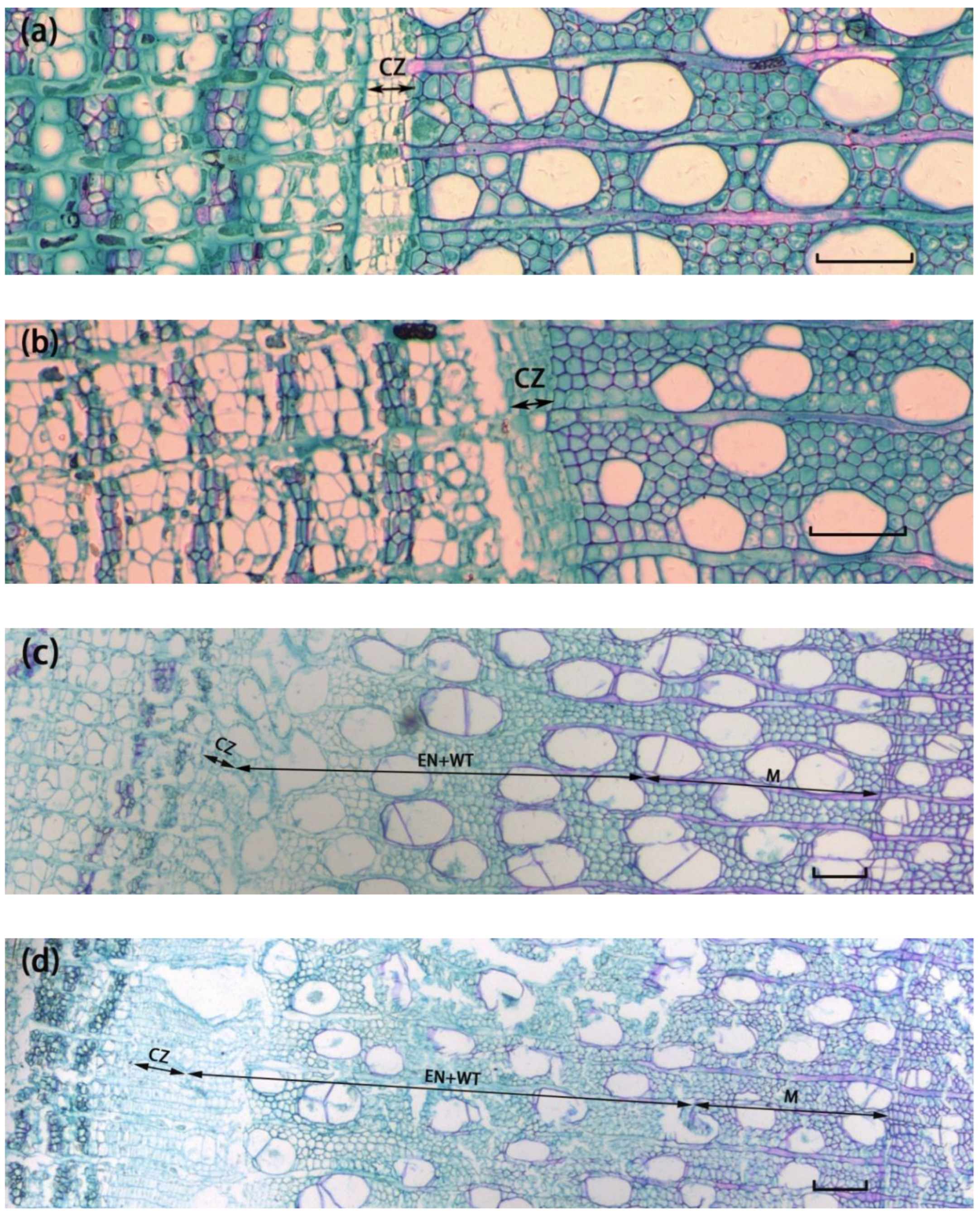 Forests 13 01441 g002 550