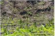 Forests 13 01459 i001