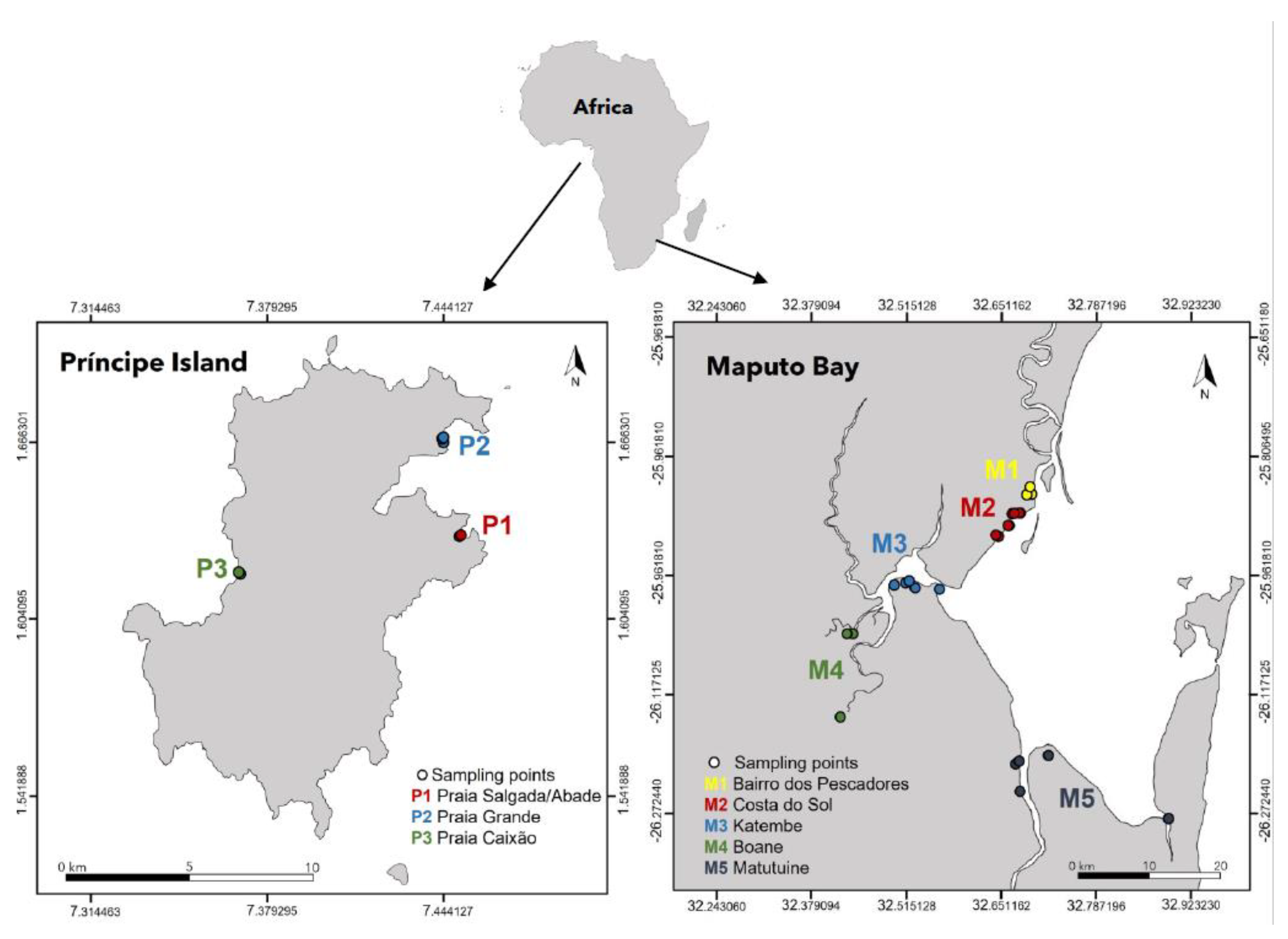 Forests 13 01466 g001