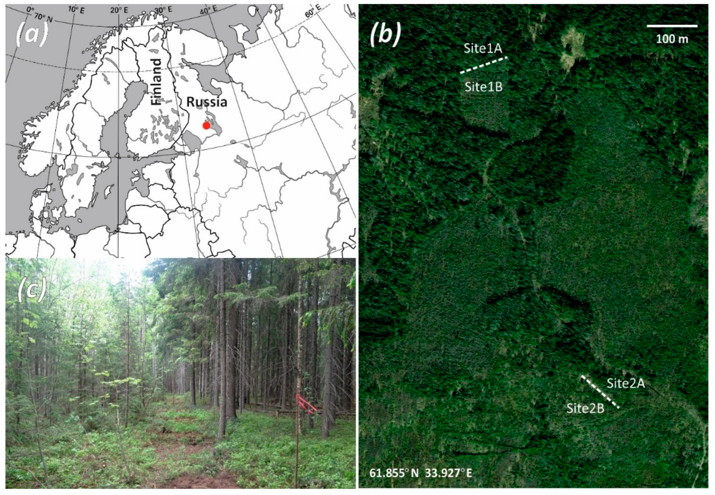 Forests 13 01468 g002