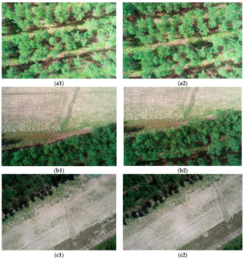 Forests 13 01475 g002