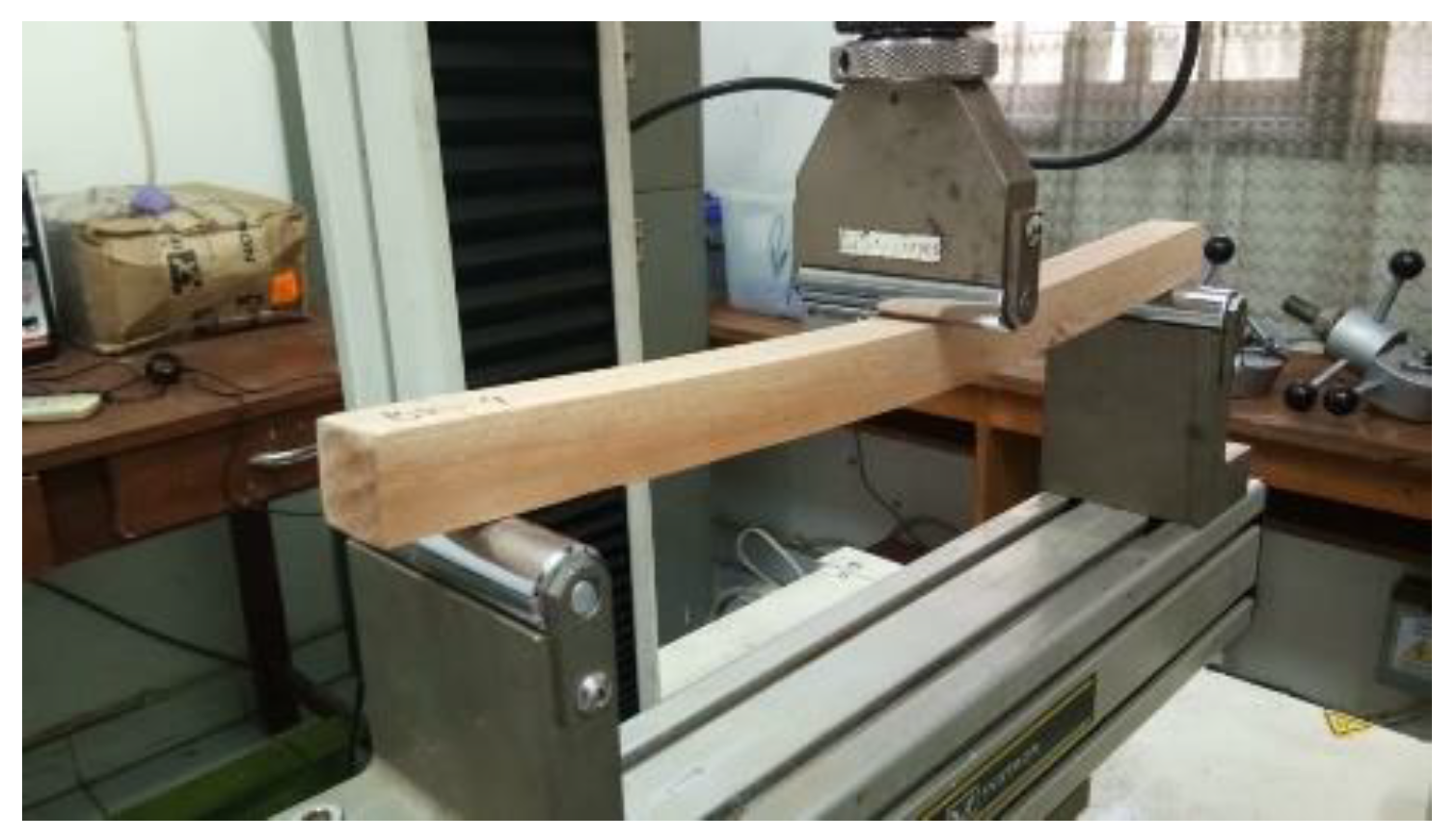 Forests 13 01480 g001 Forests 13 01480 g001