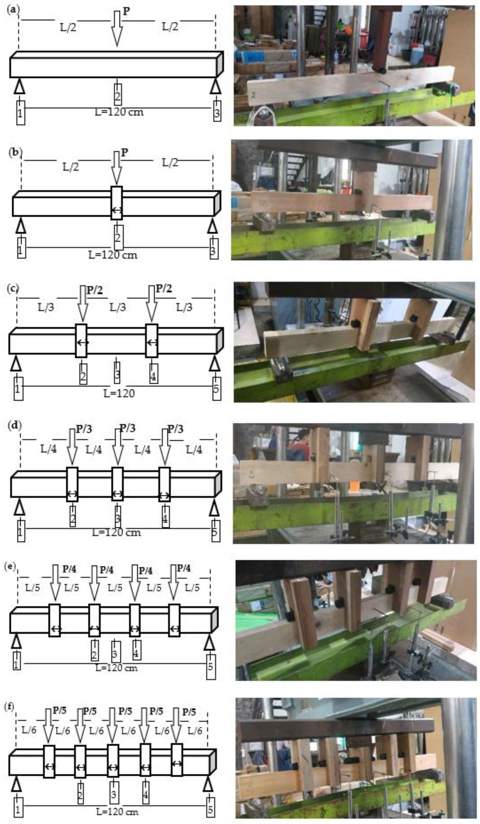Forests 13 01480 g003 Forests 13 01480 g003