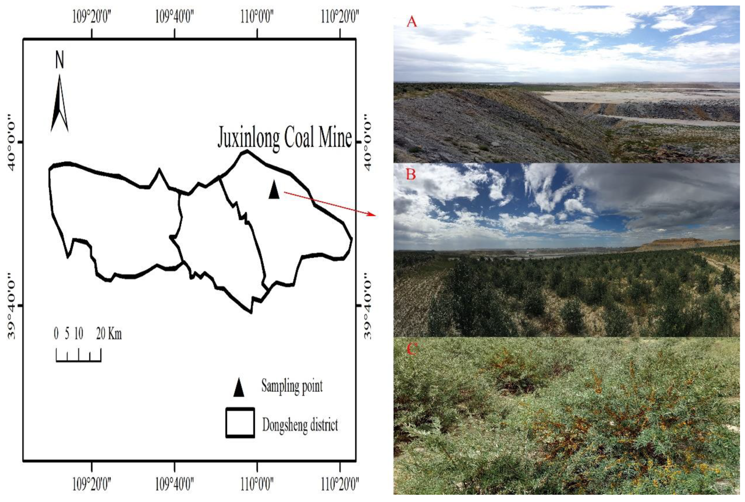 Forests 13 01481 g001