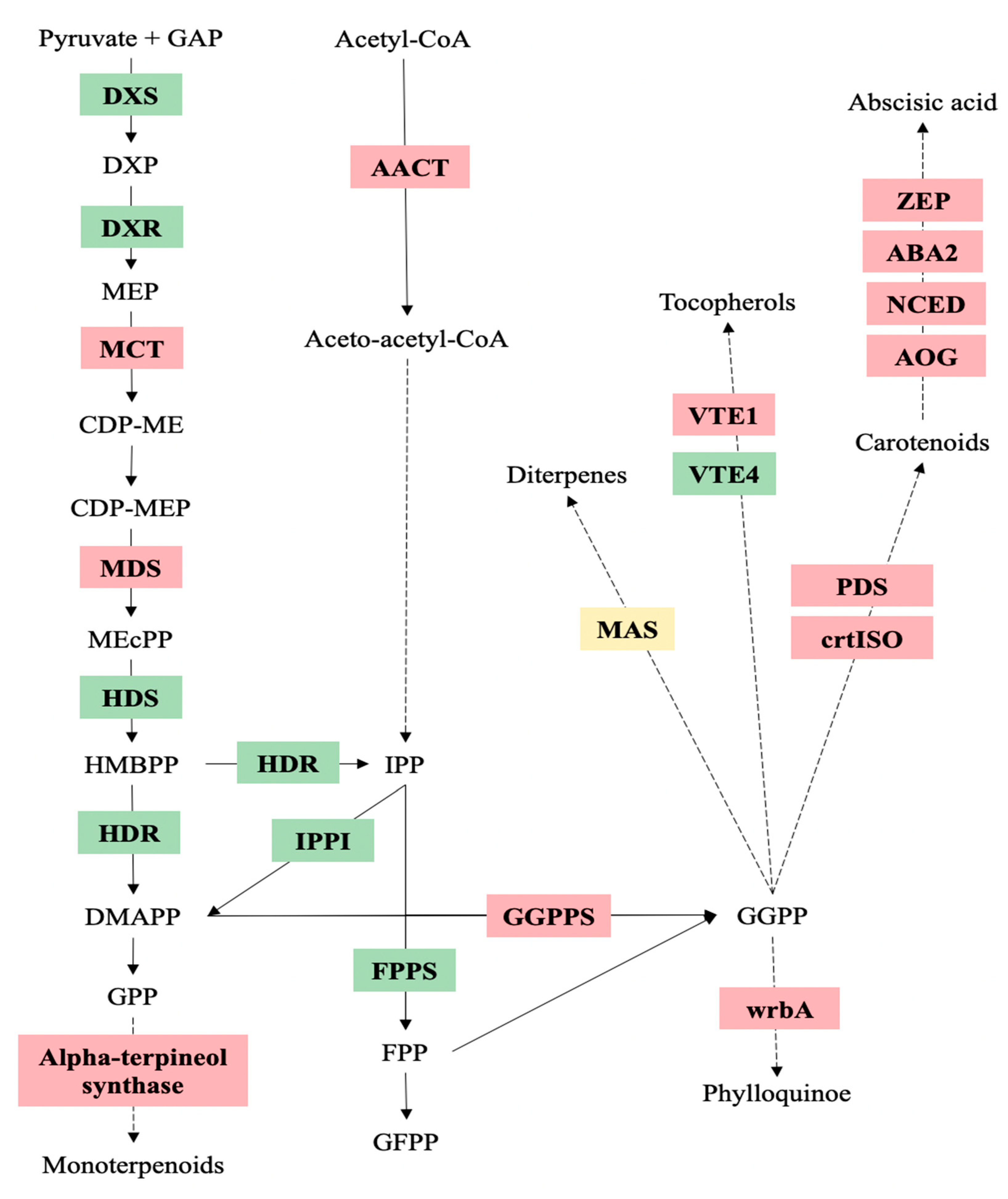 Forests 13 01487 g003