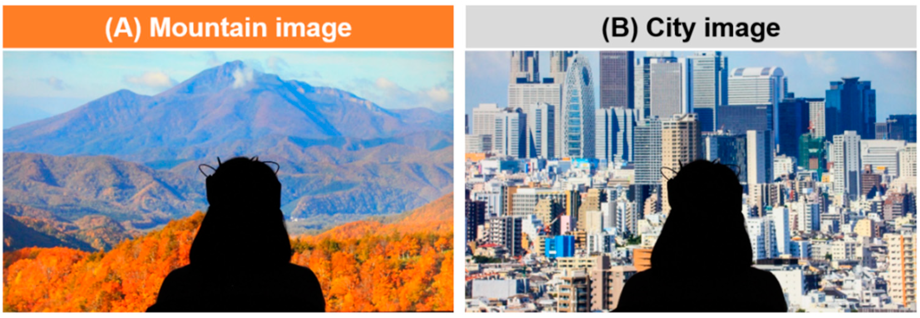 Forests 13 01492 g002