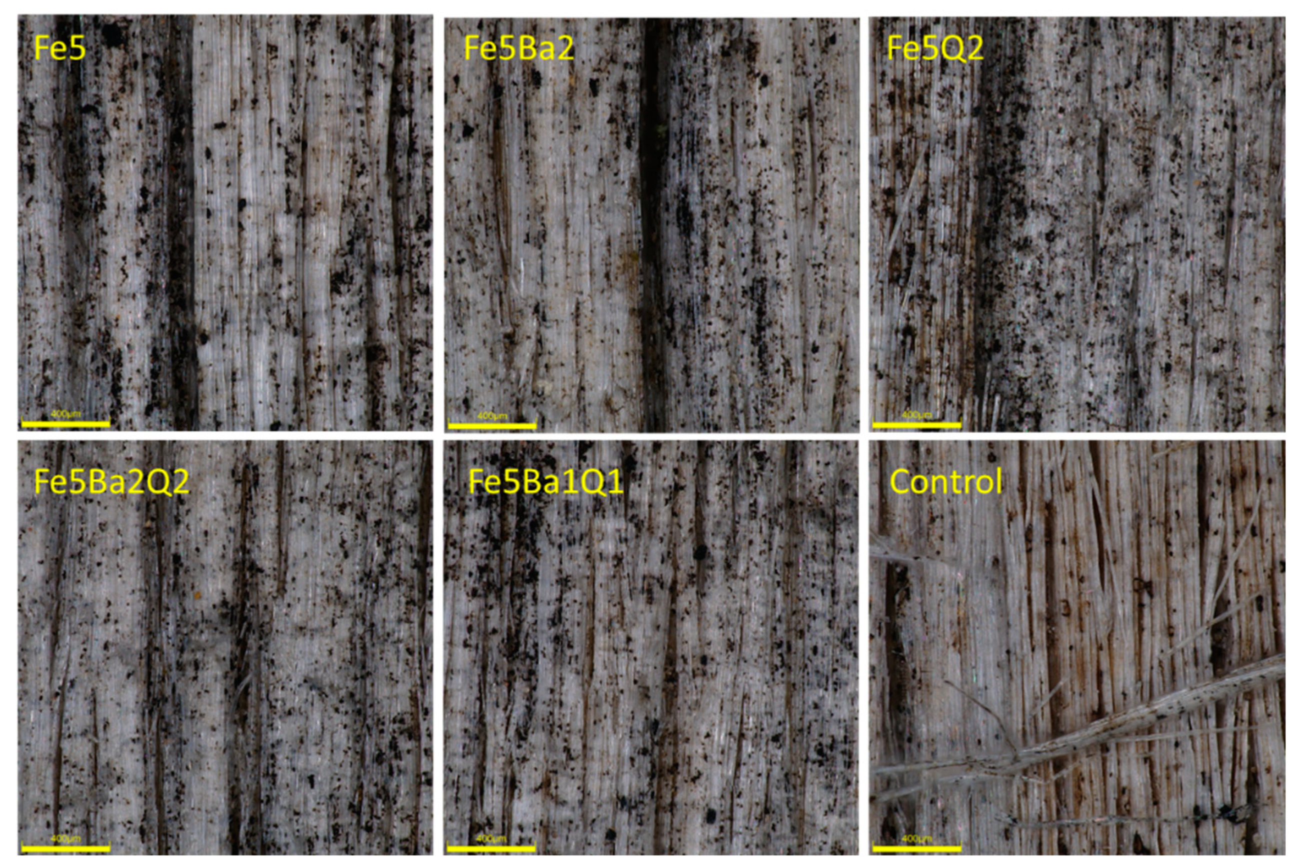 Forests 13 01497 g006 Forests 13 01497 g006