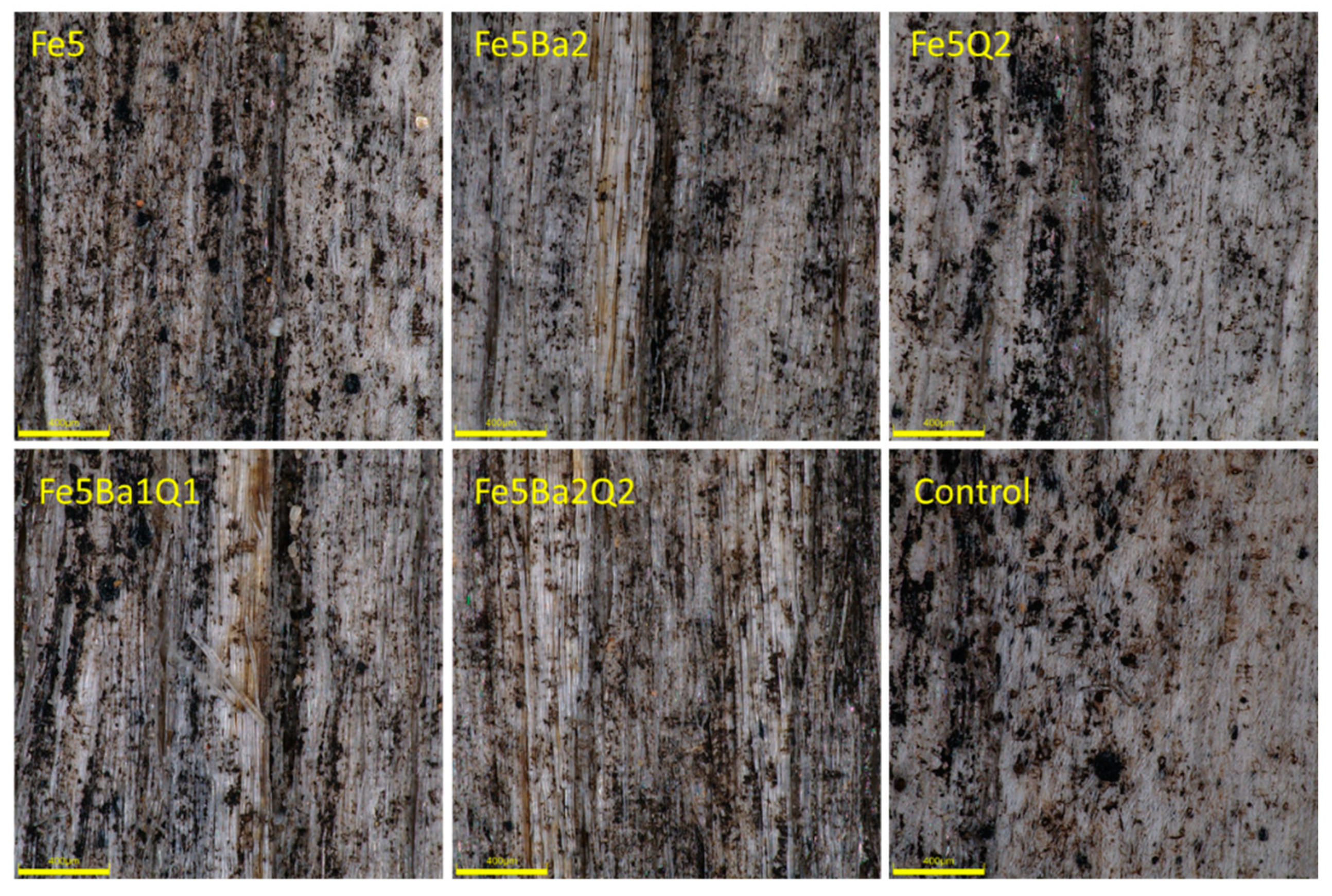 Forests 13 01497 g007 Forests 13 01497 g007