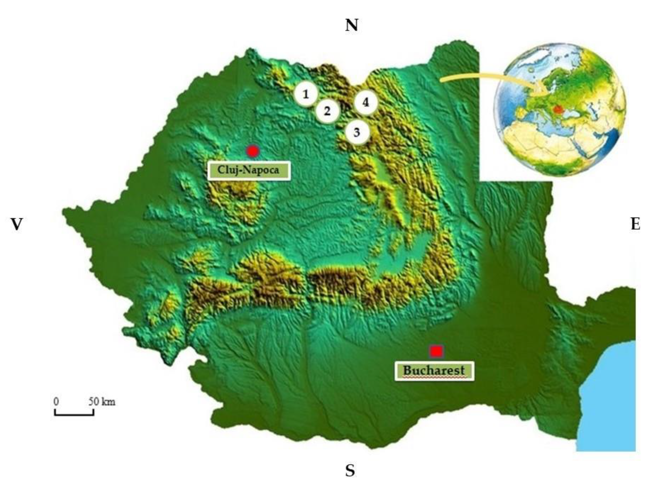 Forests 13 01498 g001 Forests 13 01498 g001